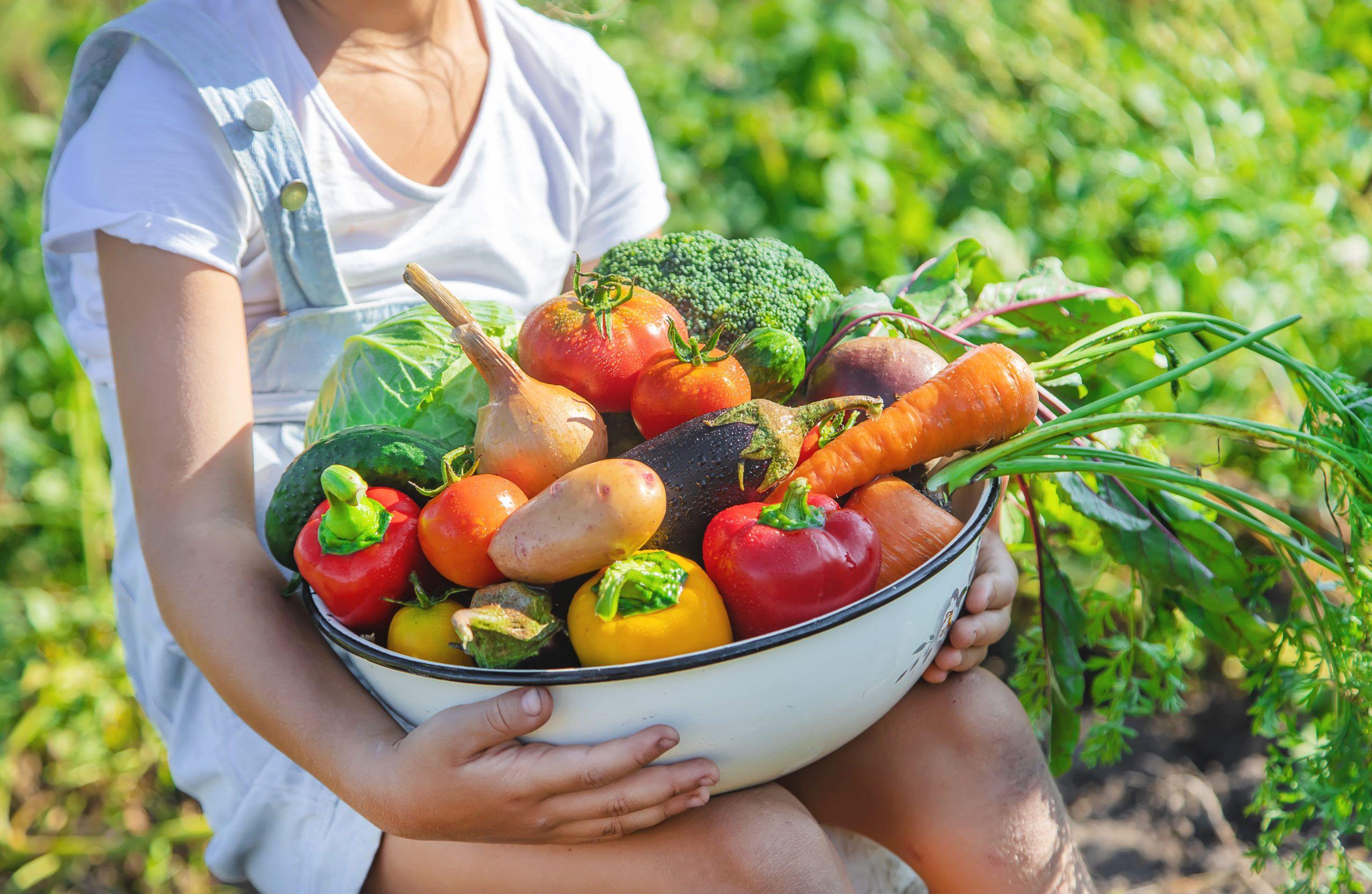 Bowl of fruit and vegetables