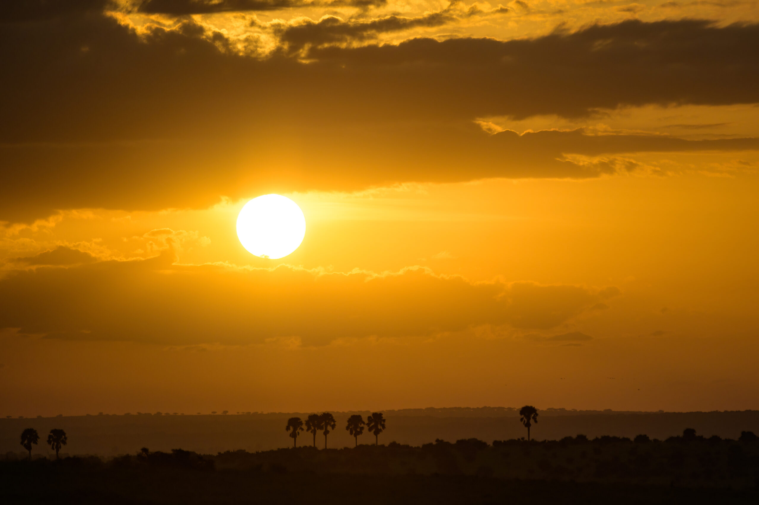 Sun at the equator