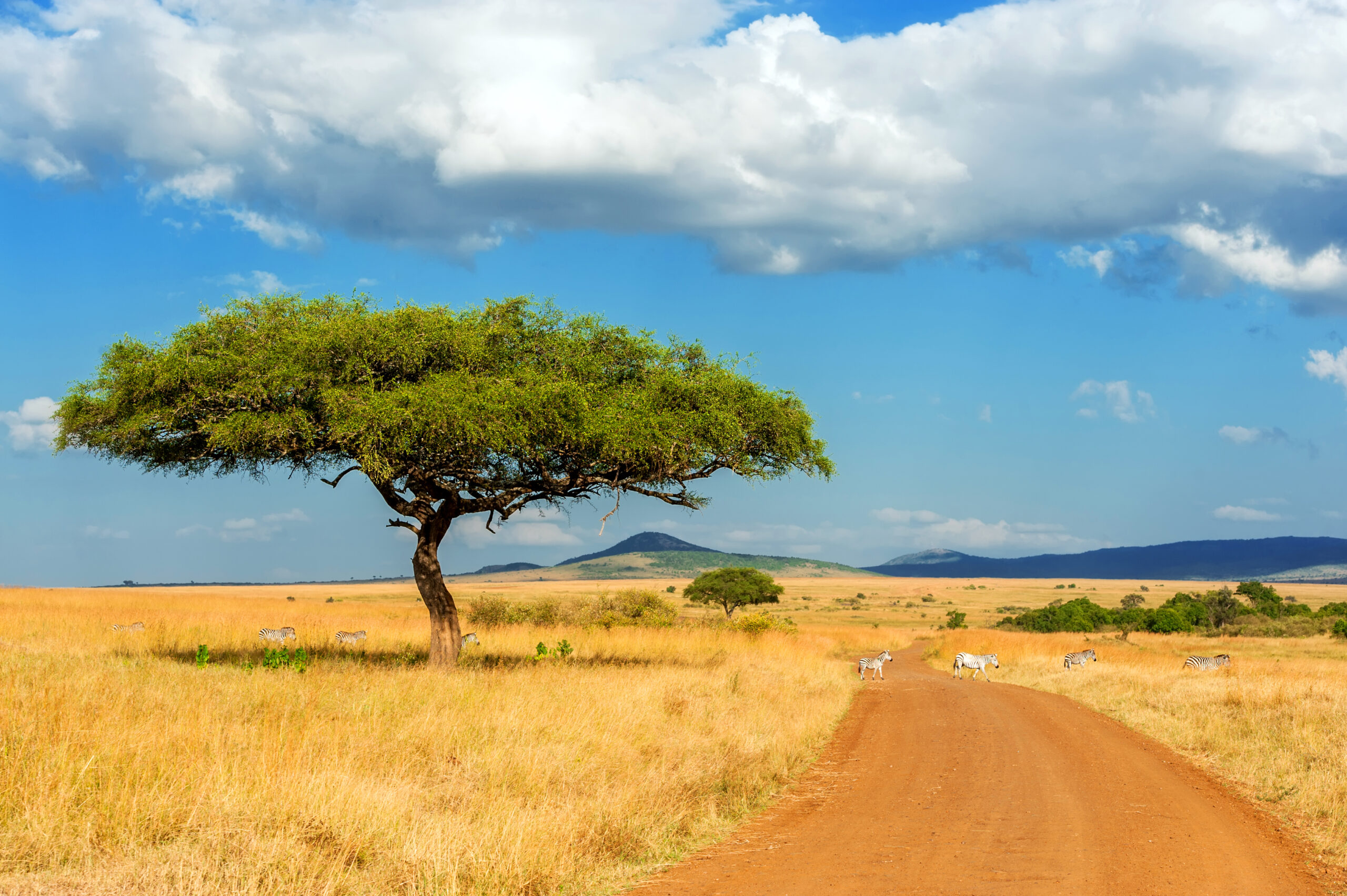 Lesson 4: What is life like in a hot place?