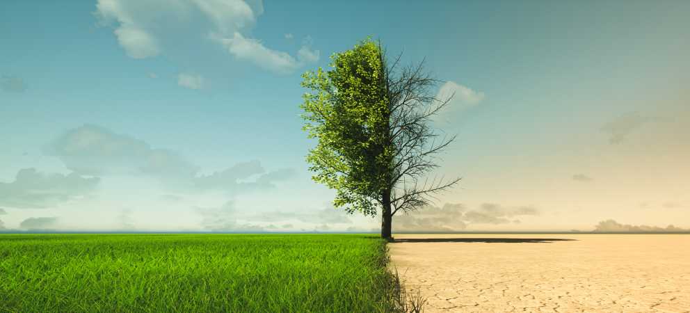 Lesson 1: What is climate?