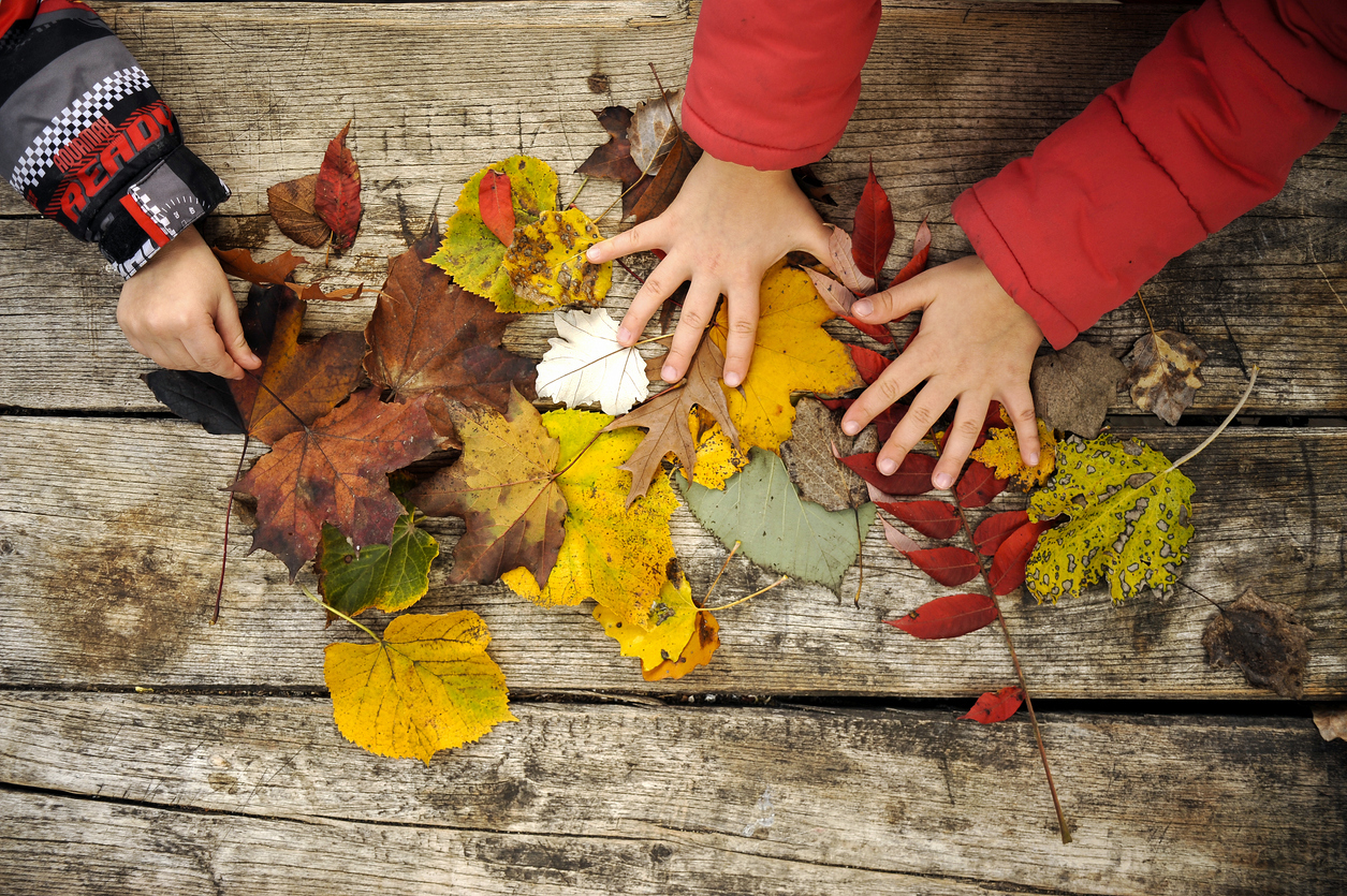 Lesson 2: What are the four seasons?