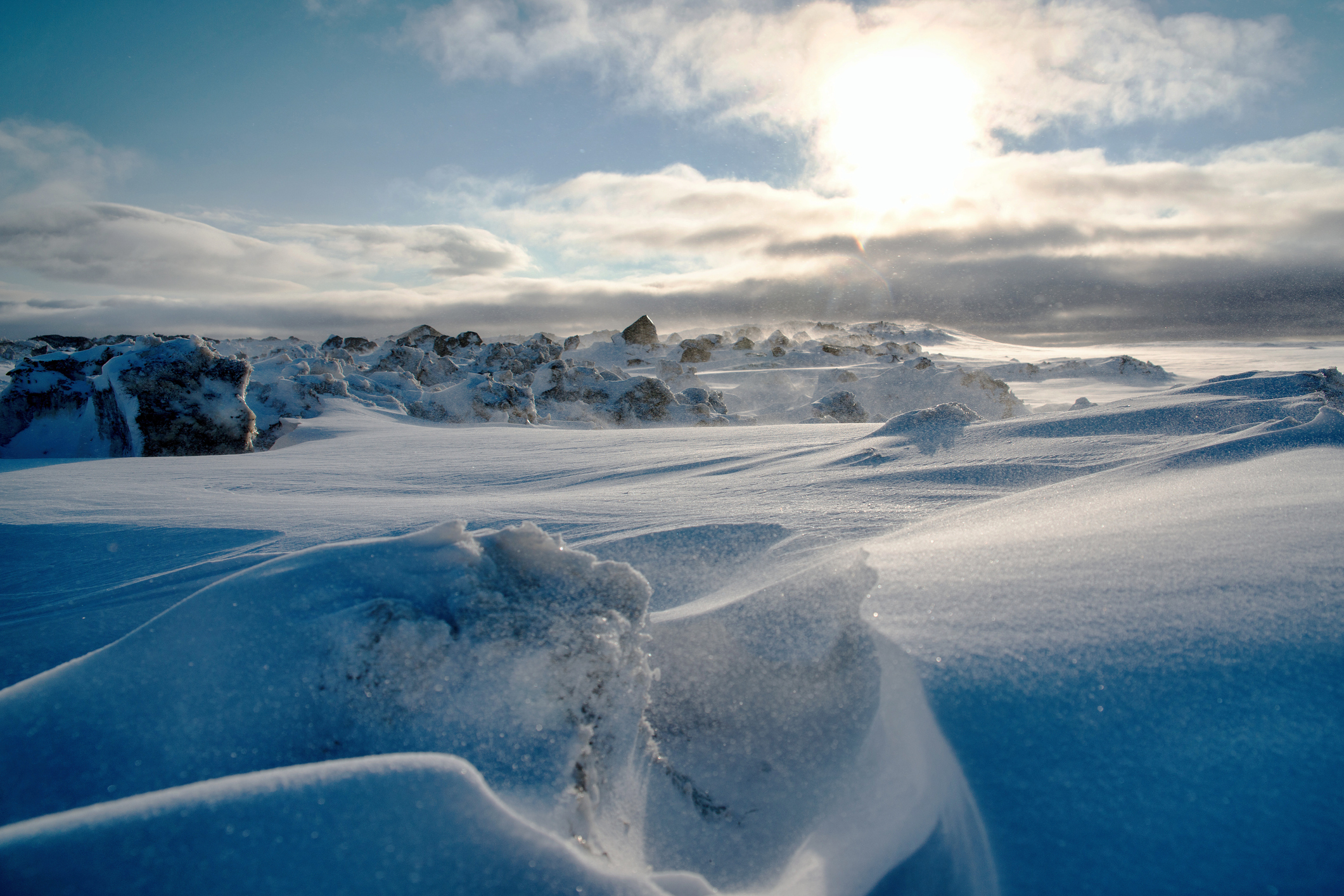 Arctic