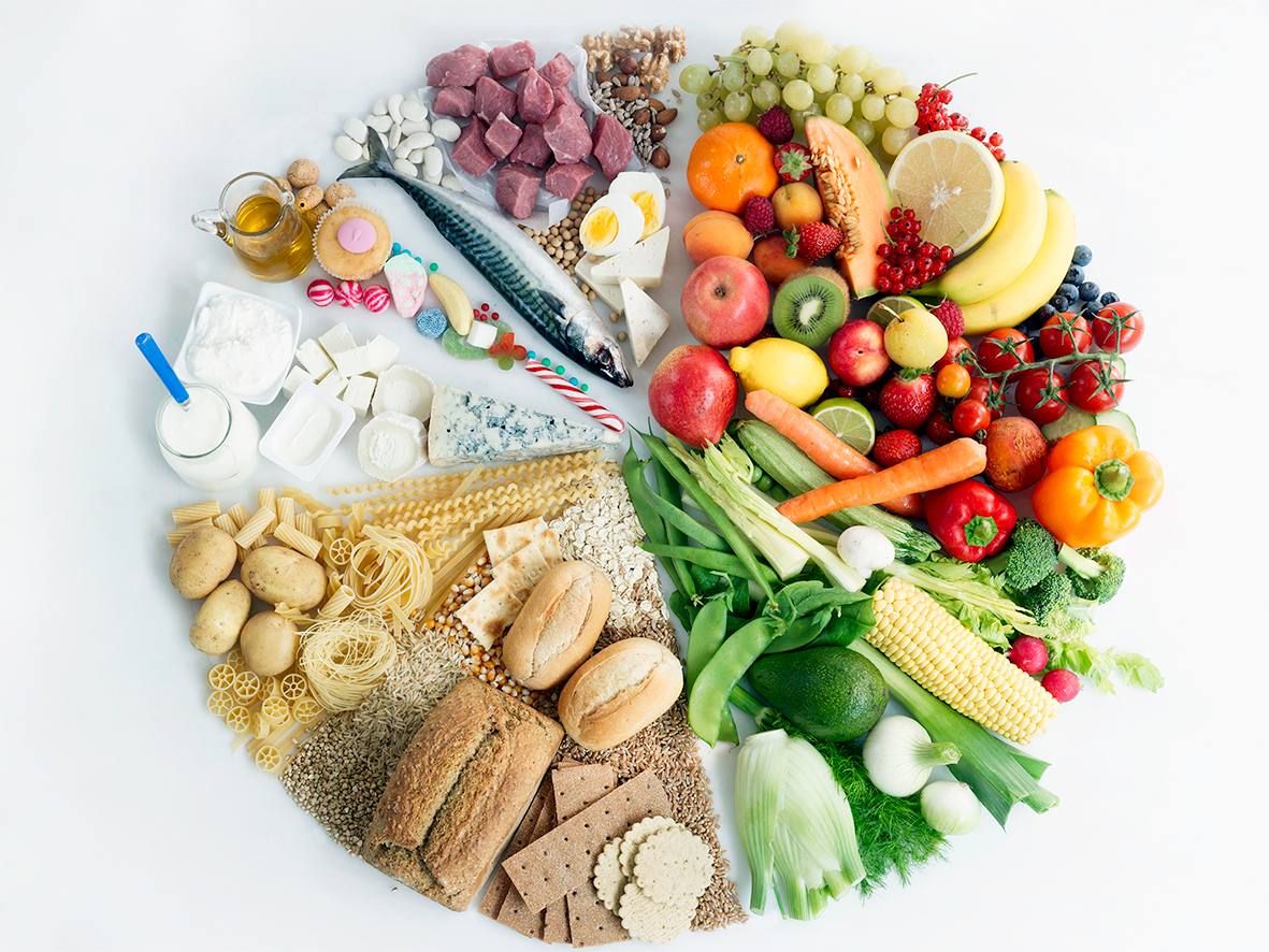 balanced diet food plate