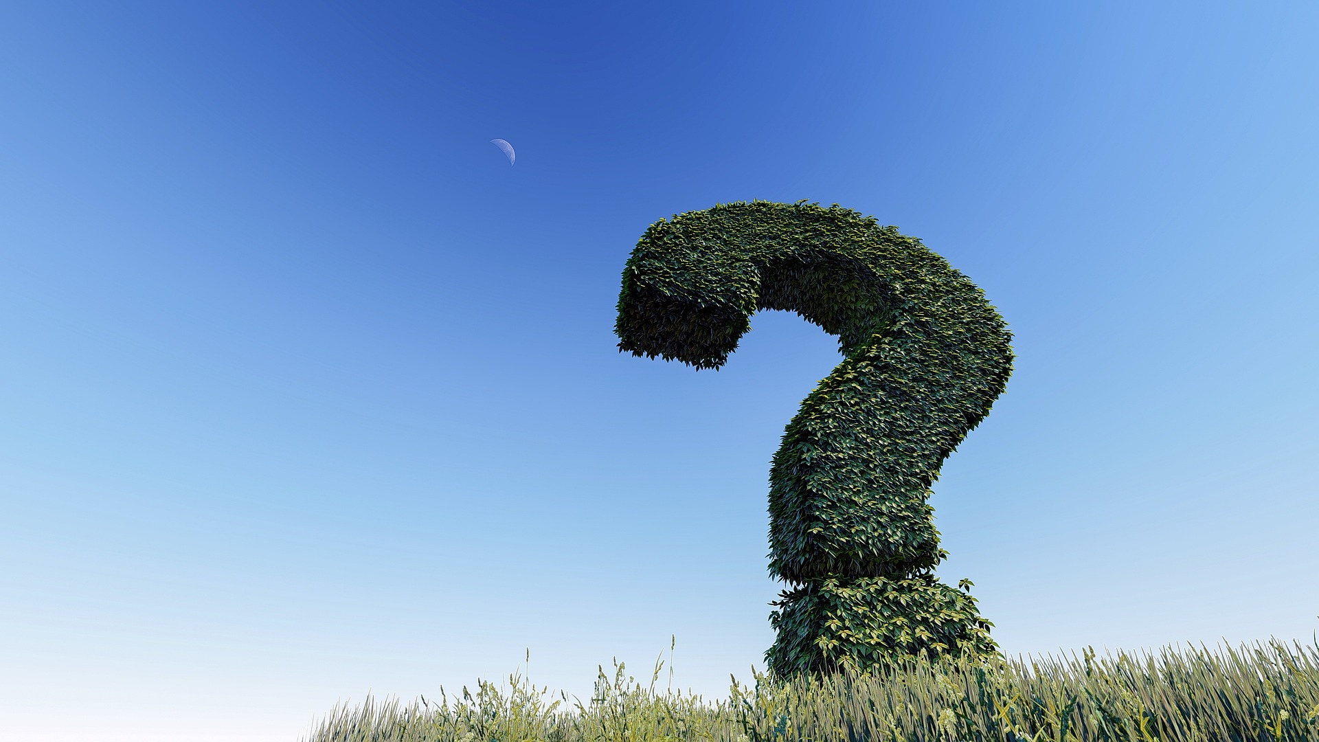 Question mark-shaped hedge