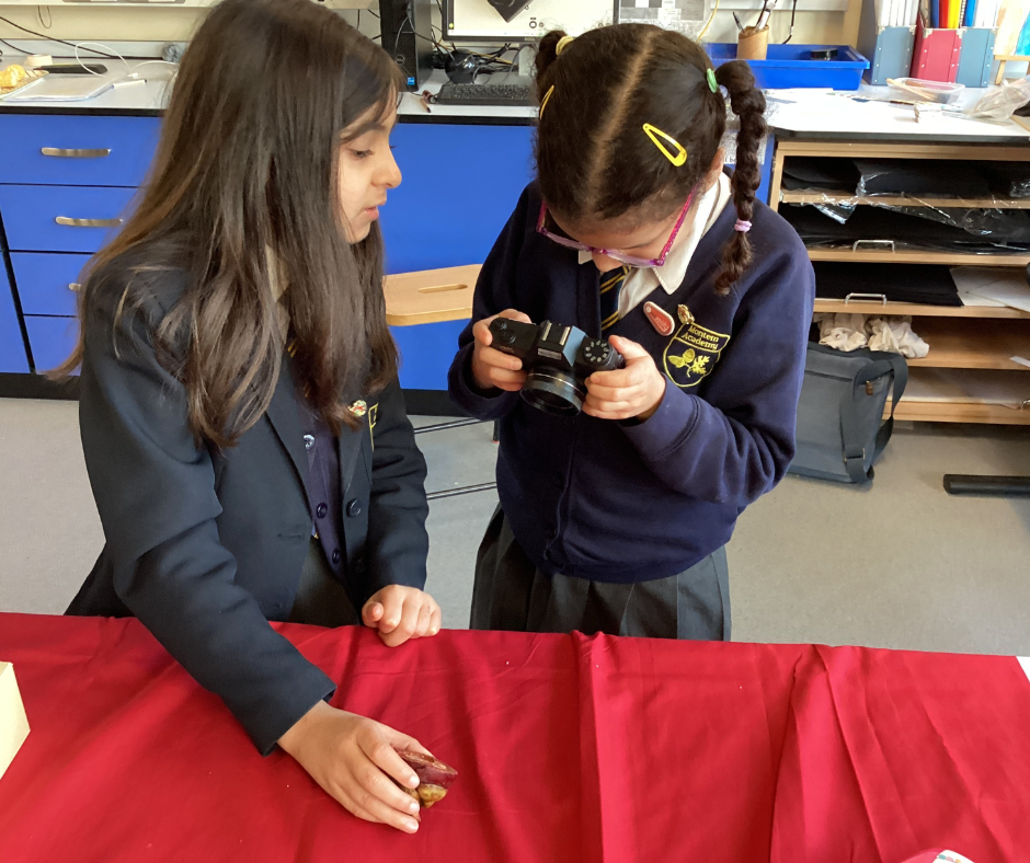 Montem Academy, Slough