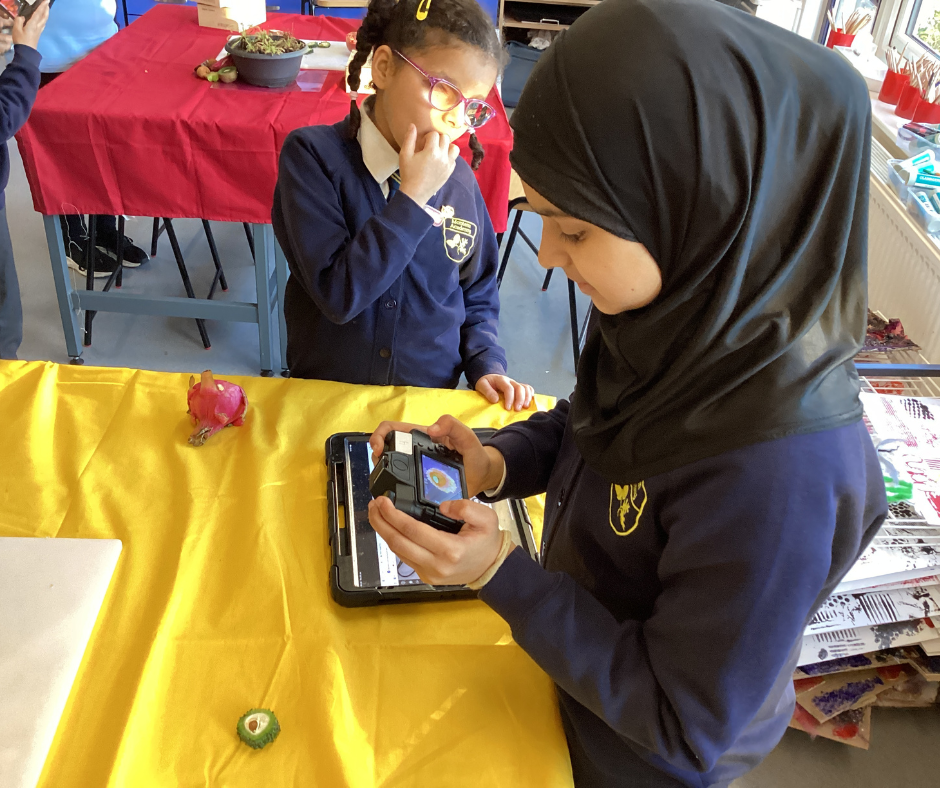 Montem Academy, Slough