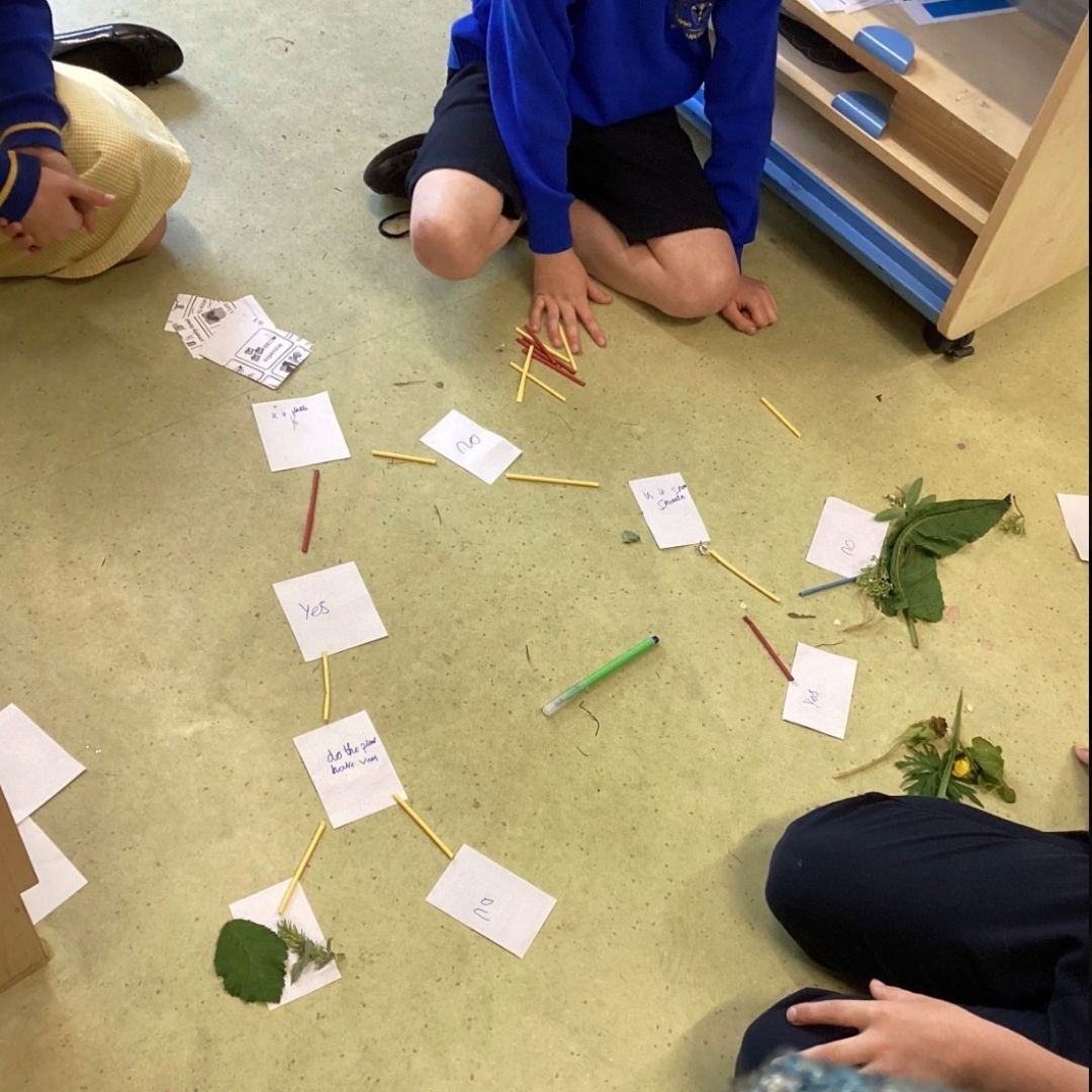 Sissinghurst Primary School, Cranbrook