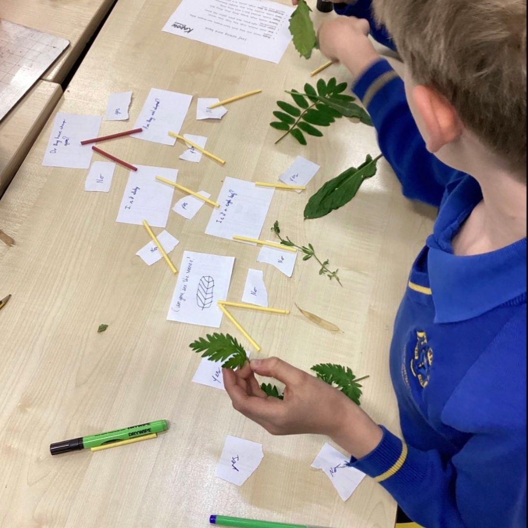 Sissinghurst Primary School, Cranbrook