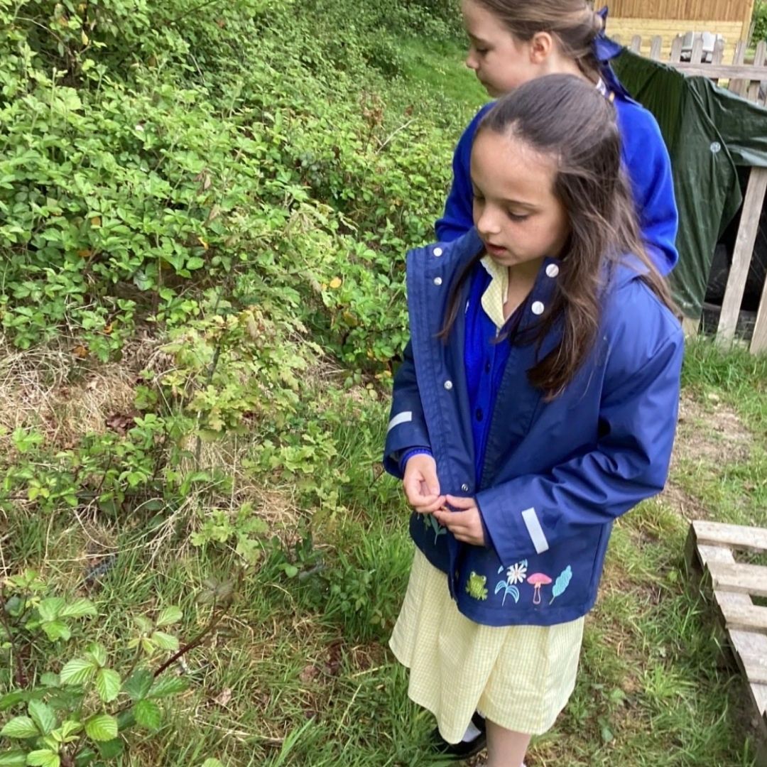Sissinghurst Primary School, Cranbrook