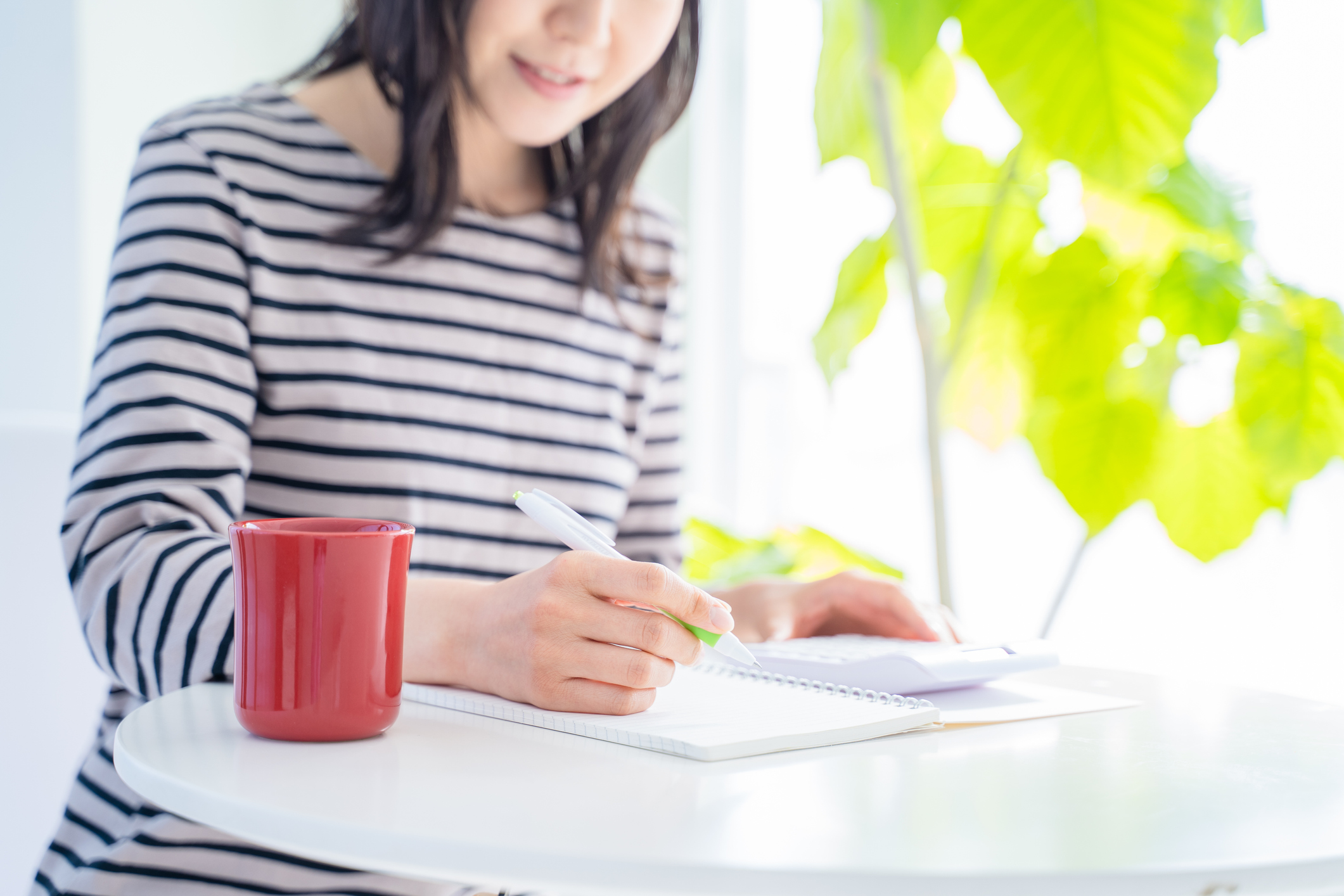 Lesson 2:  What is a weekly budget?