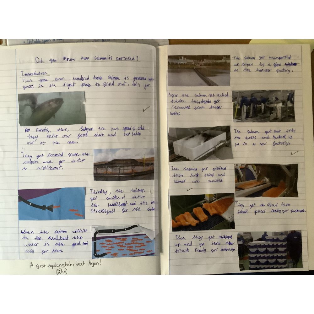 Brushwood Junior School
