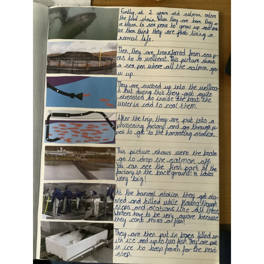 Brushwood Junior School