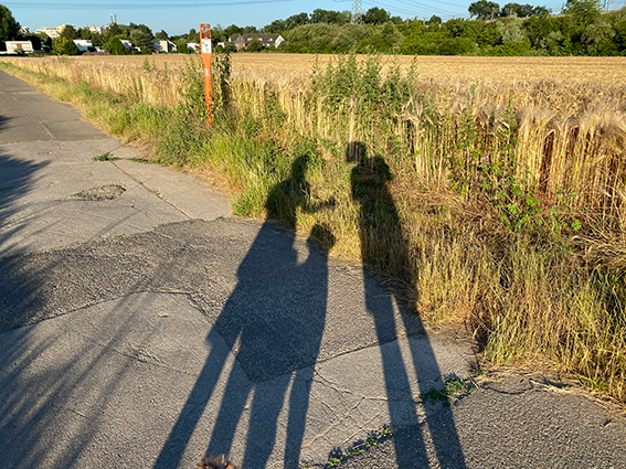 Shadows of people with dog
