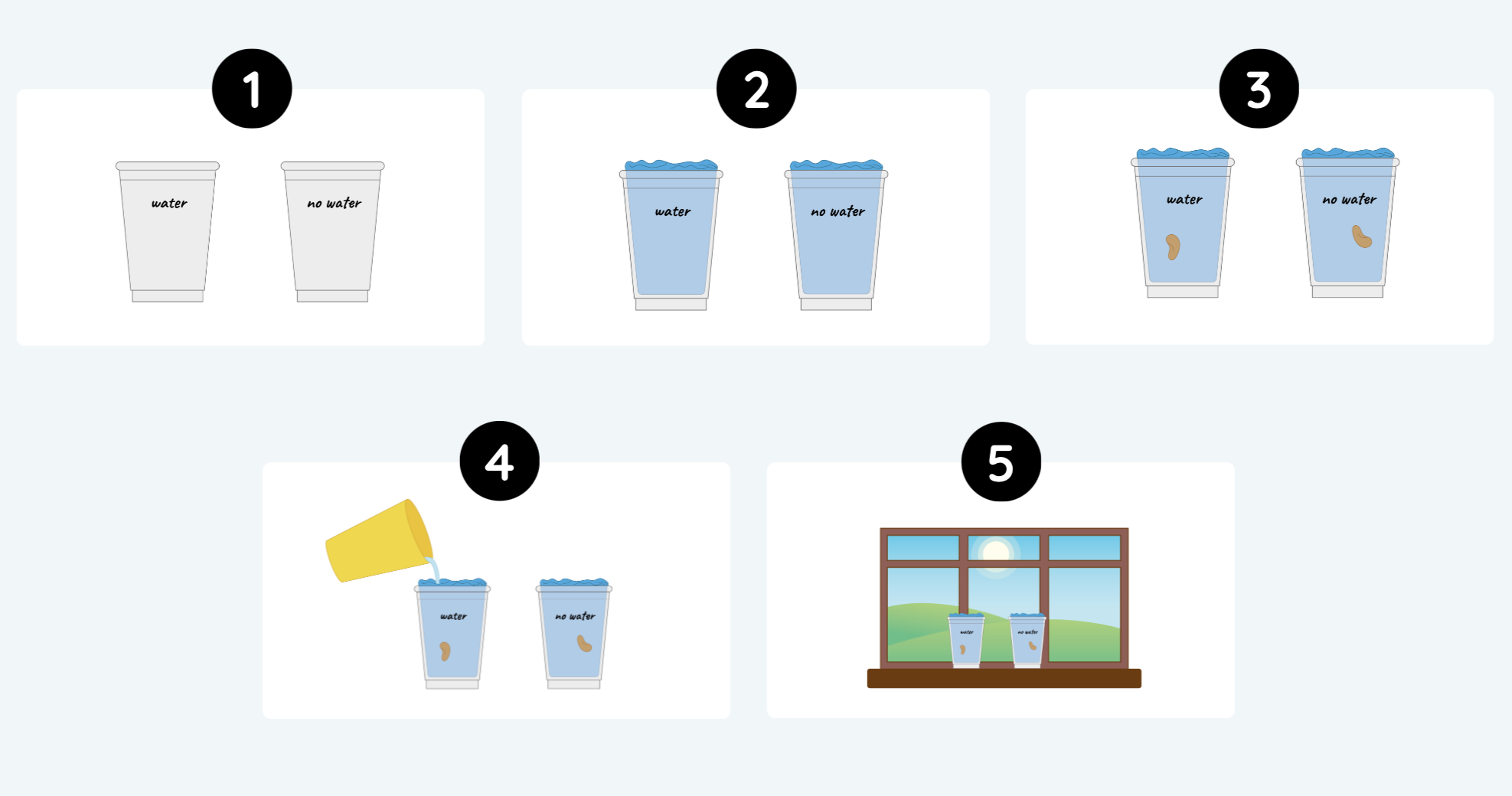 Y1/2 (A): Lesson 1: What is a plant?