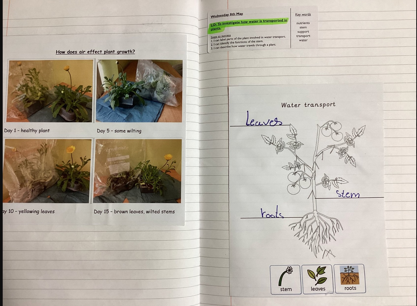 Sissinghurst (VA) Church of England Primary School, Cranbrook