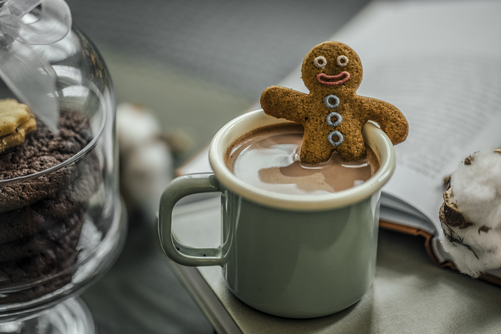 Y1/2 (B) Lesson 2: Is the Gingerbread Man waterproof?