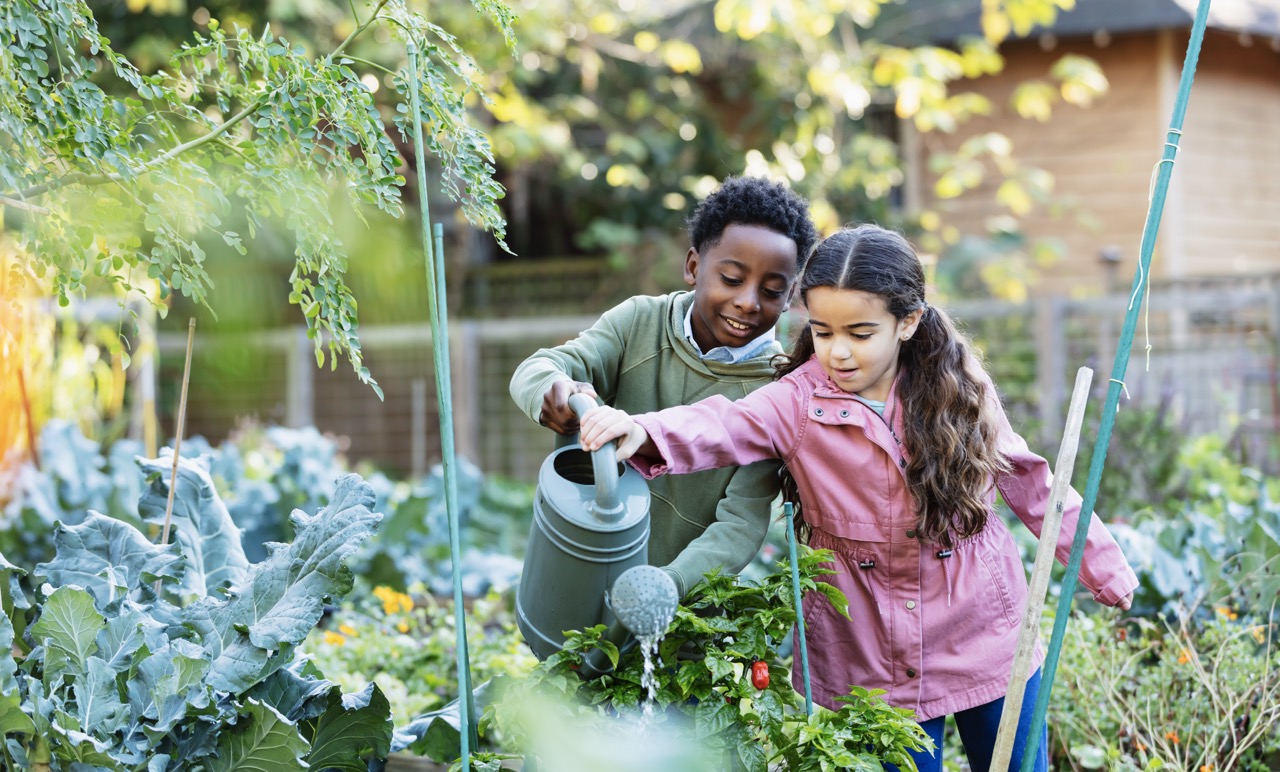 My healthy self: How can I support my mind and body as I grow?