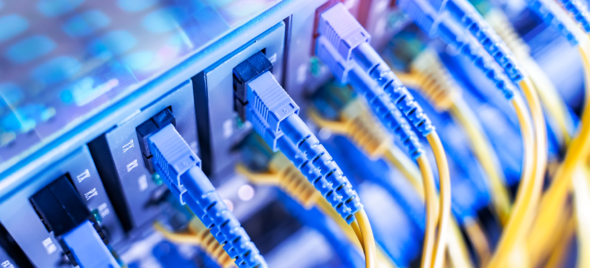 Connectors and ports are plugged into the back of a server.