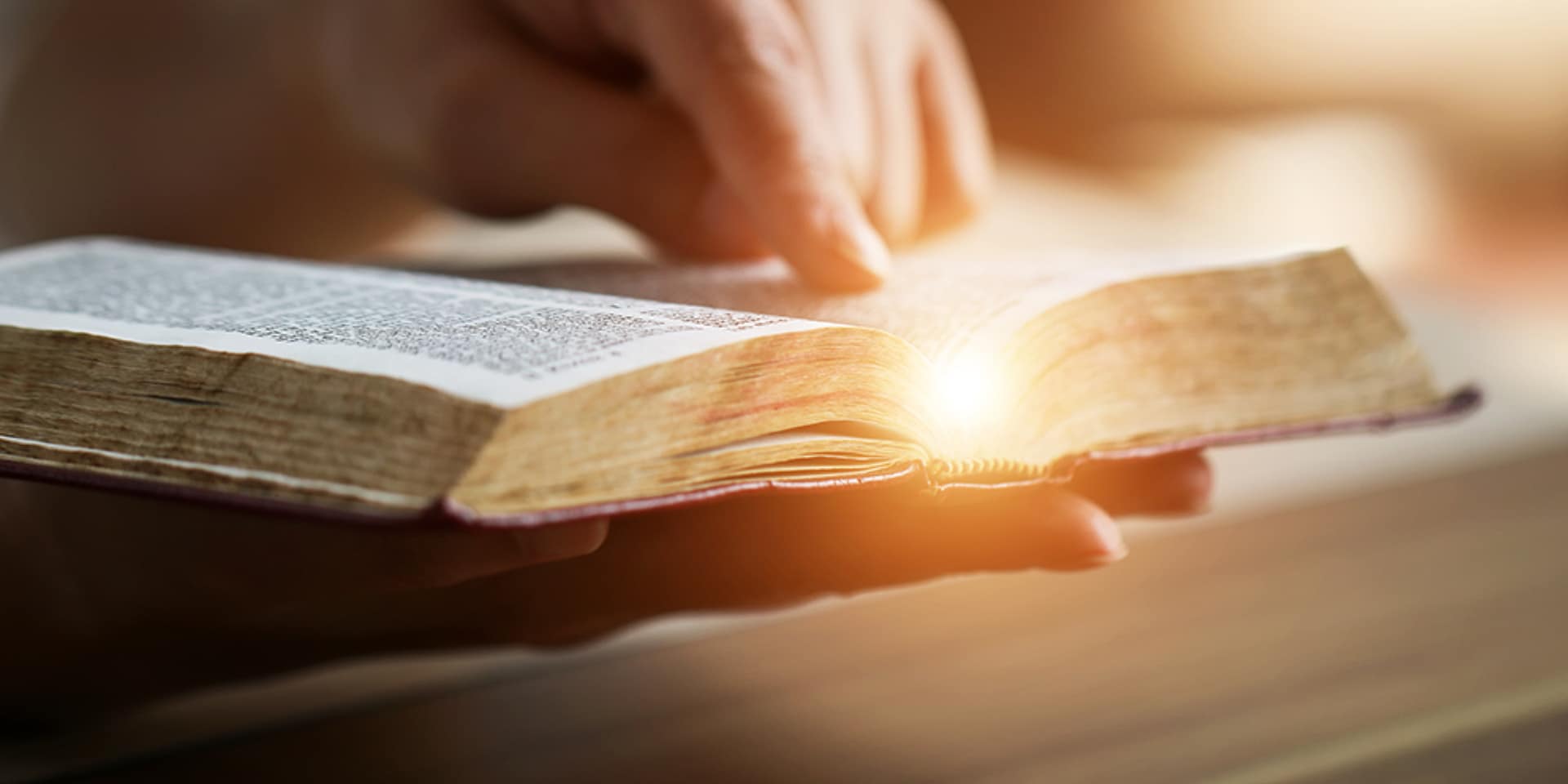 Woman looking through old history book