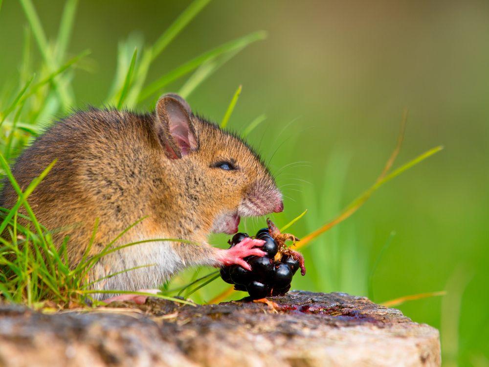 life cycle shutterstock 119412379 1