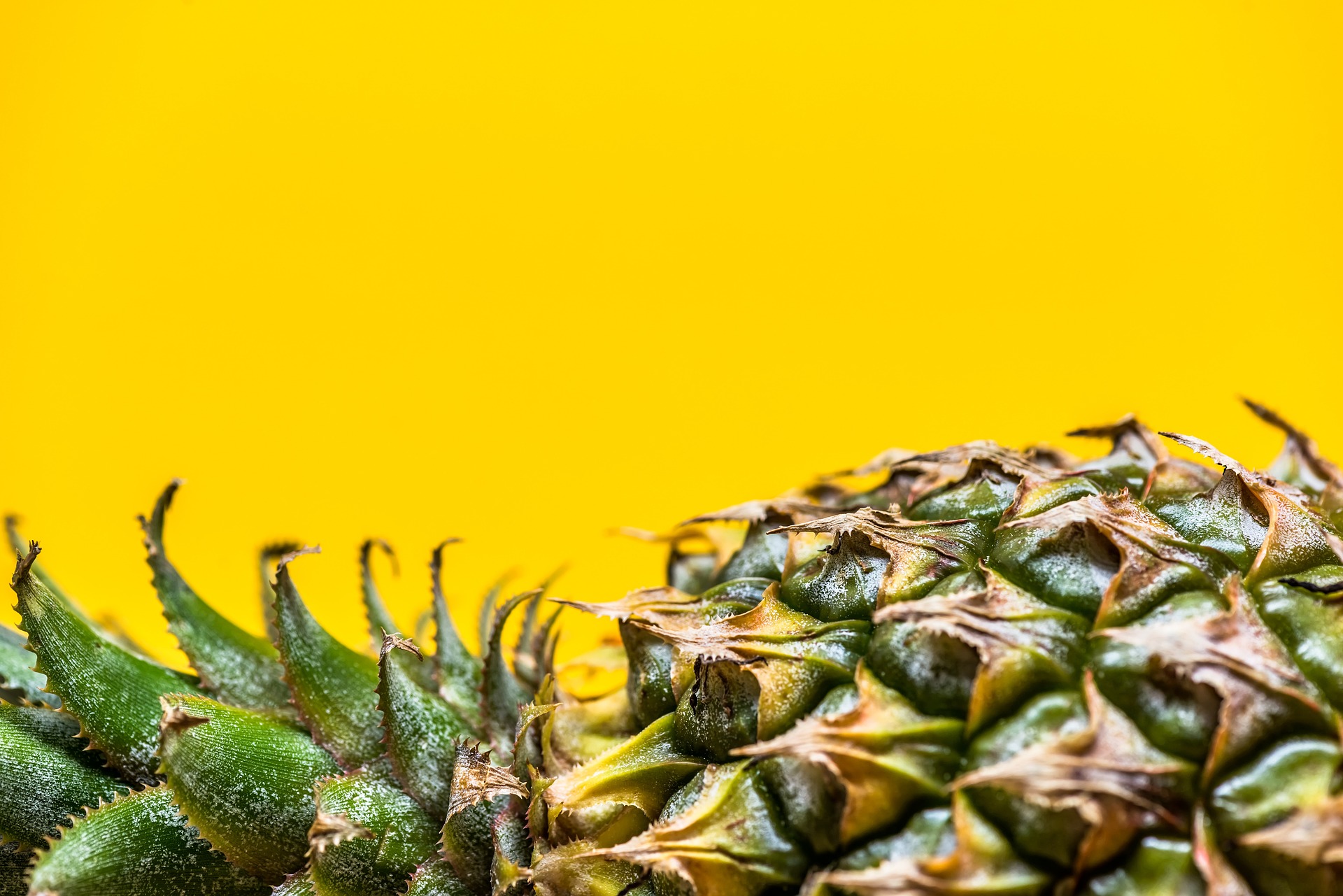 A pineapple.