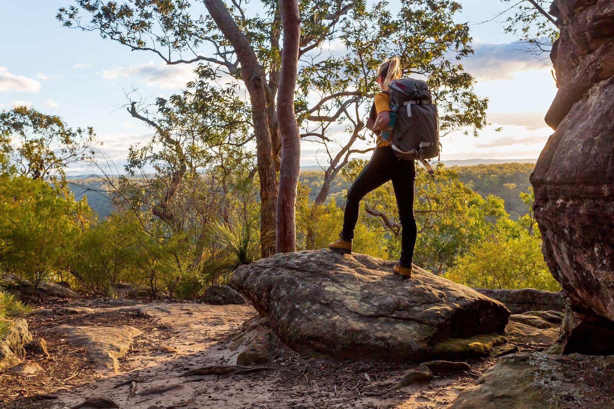Lady admiring the view from a raised rock in the wilderness