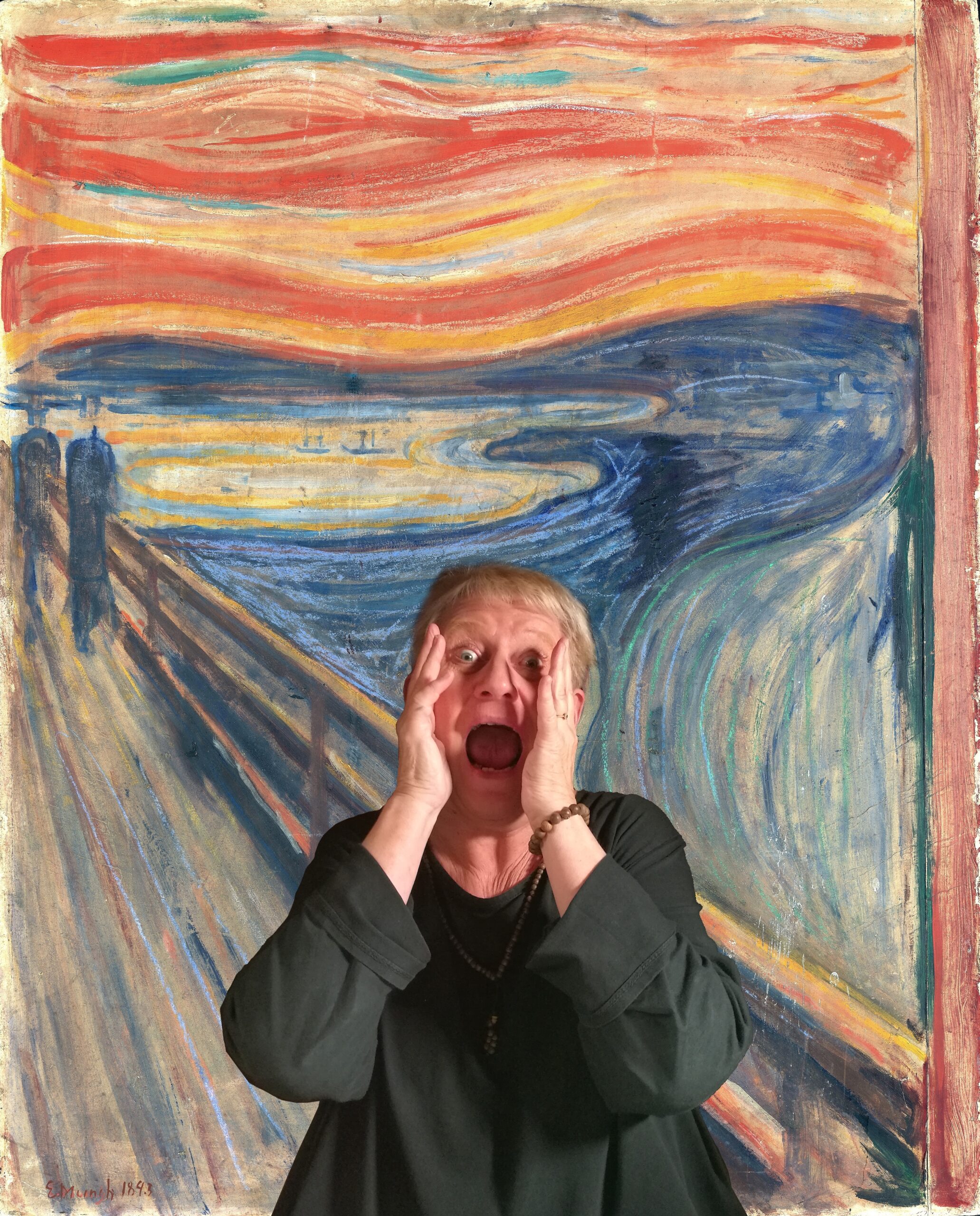 Copy of tthe scream 2