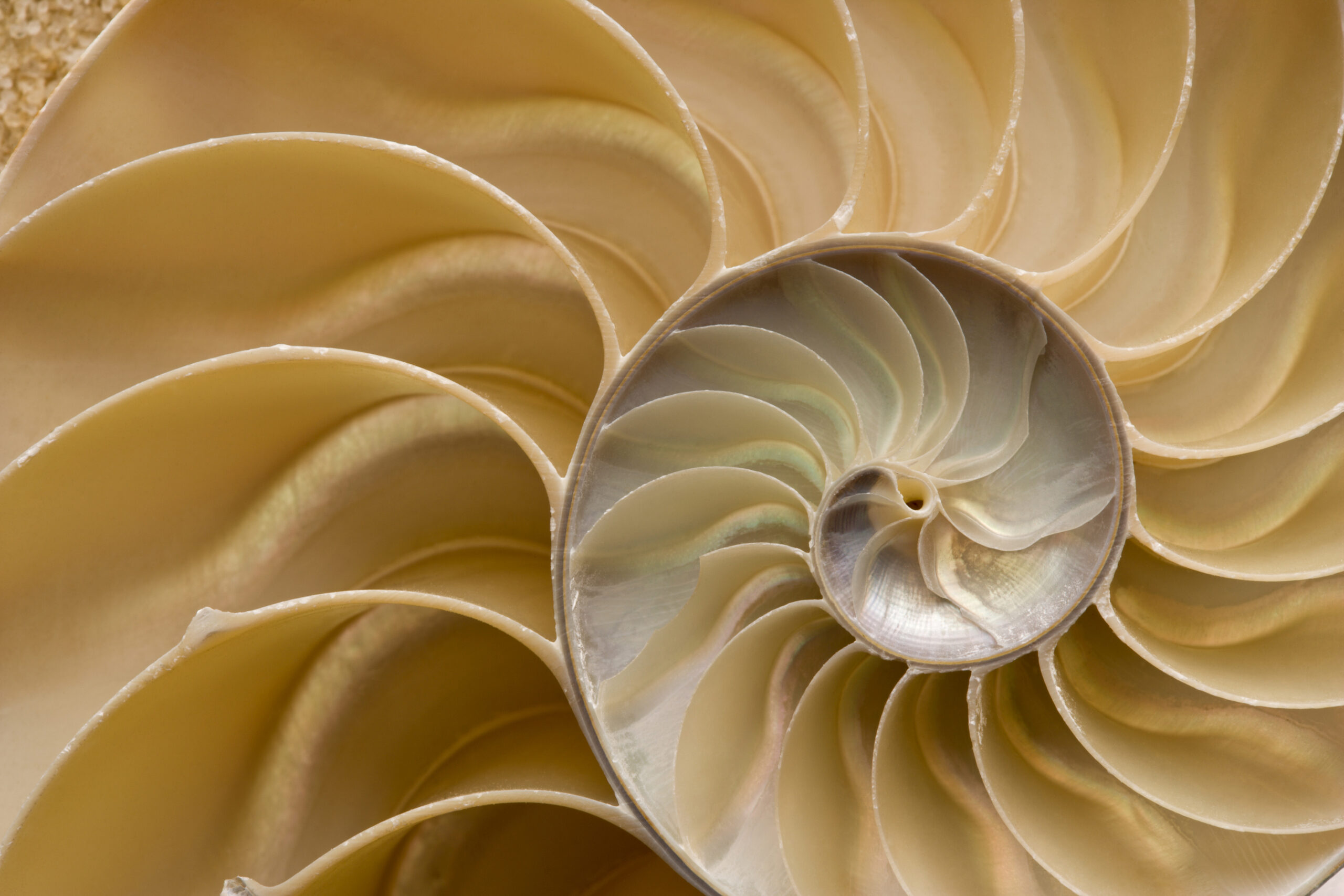 iStock 157484151