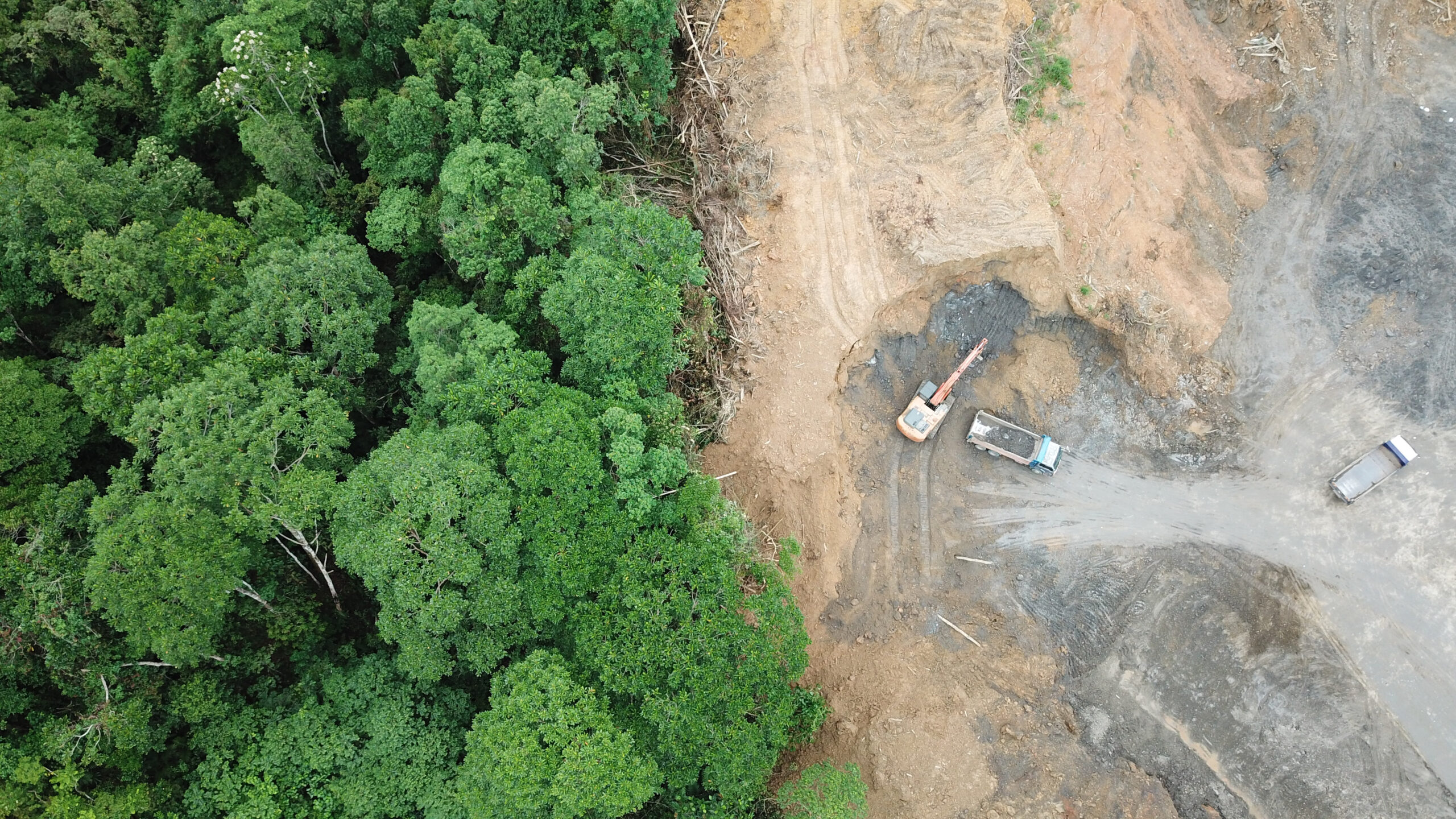 Deforestation of the rainforest from a birds eye view