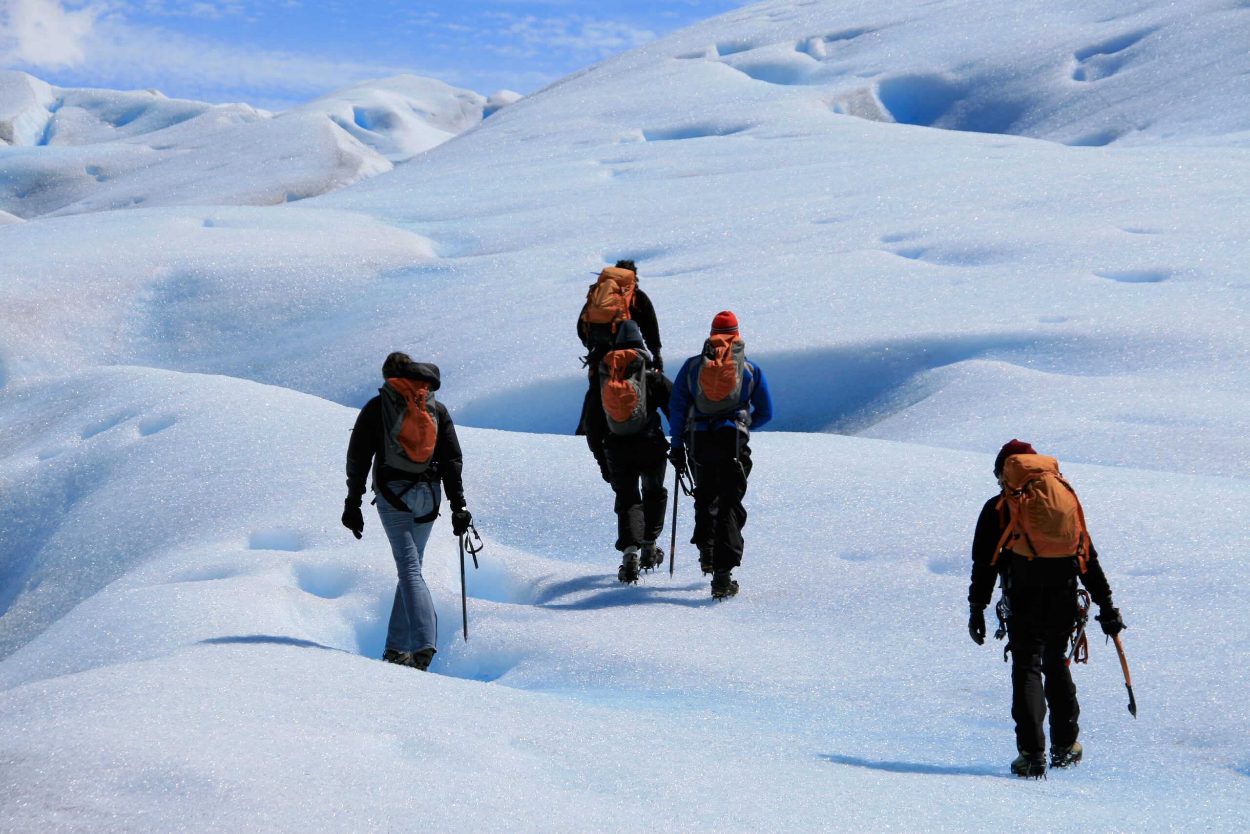 Who lives in Antarctica?