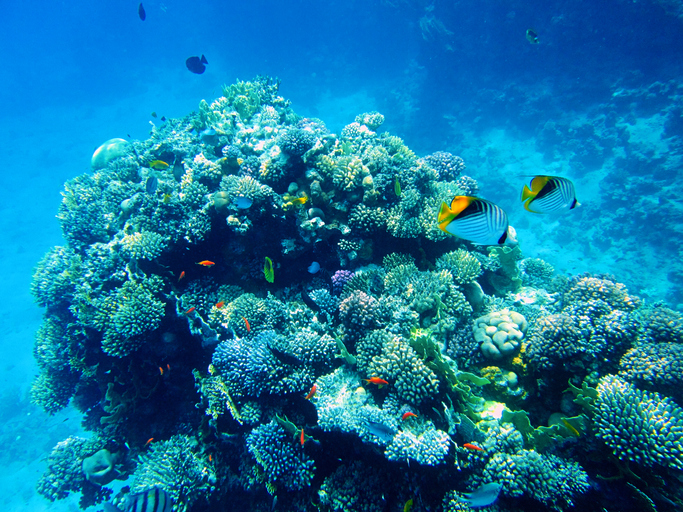 Why do oceans matter?