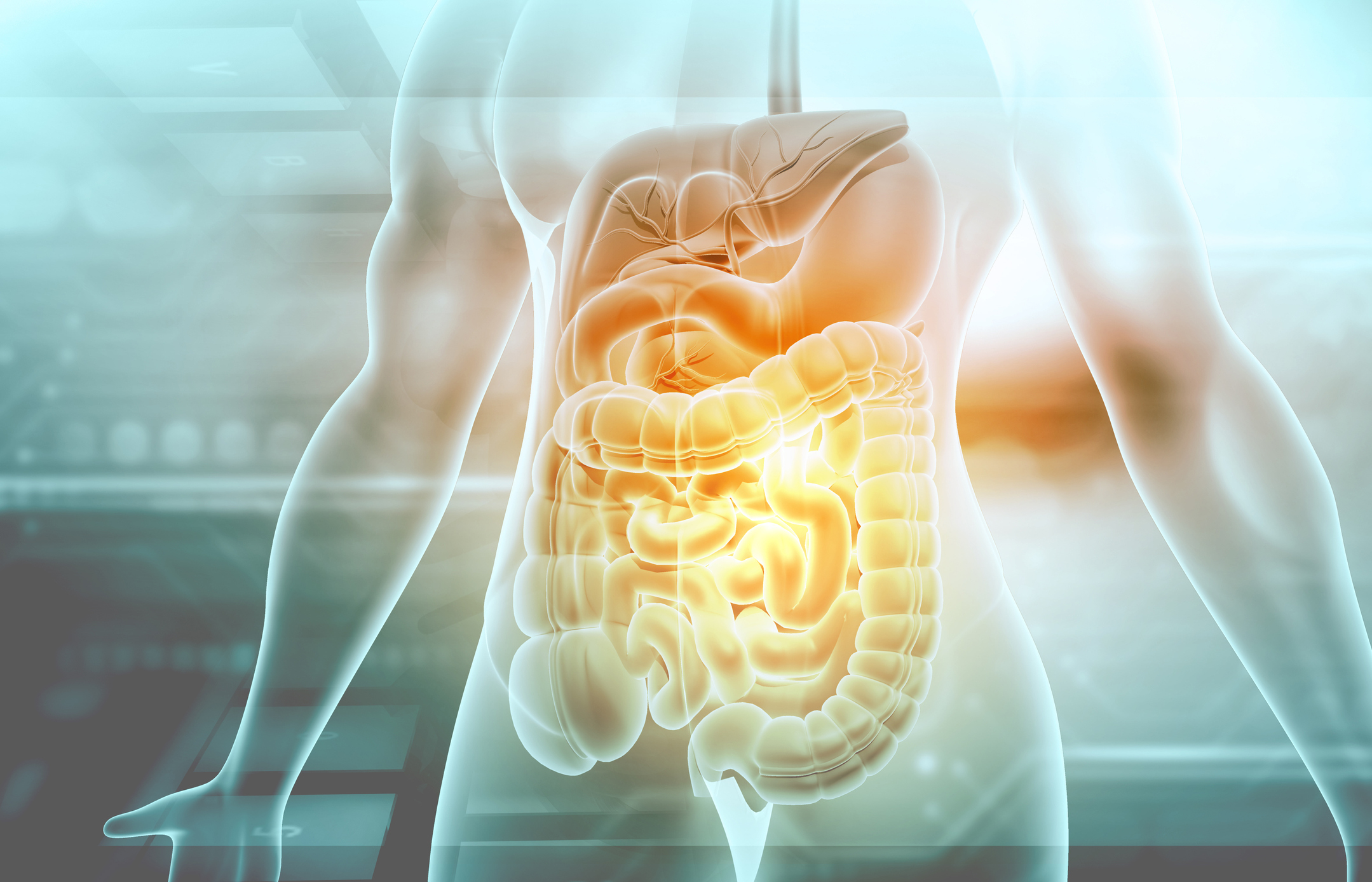 Y3/4 (A): Lesson 1: The human digestive system