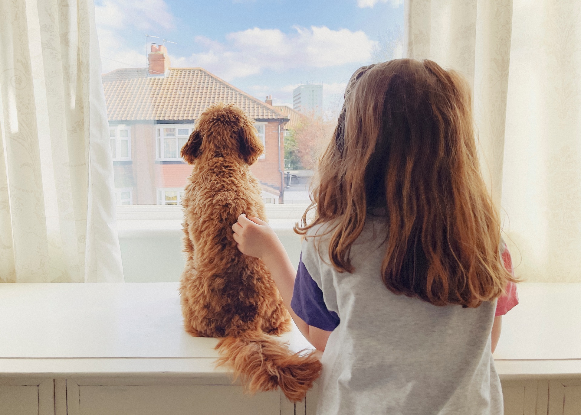 child and dog looking out of window