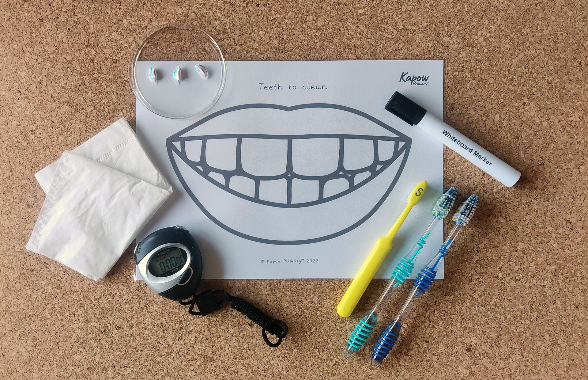 Y3/4 (A): Lesson 3: Investigating dental hygiene