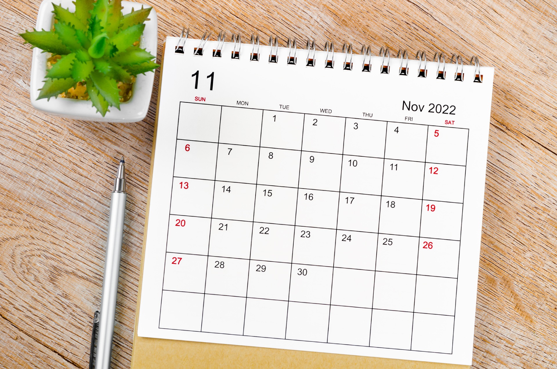 November 2022 calendar with a plant and pen on a wooden desk.