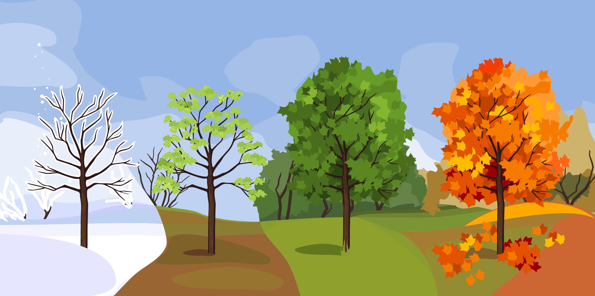 Illustration of four trees representing different seasons: winter, spring, summer, and autumn.
