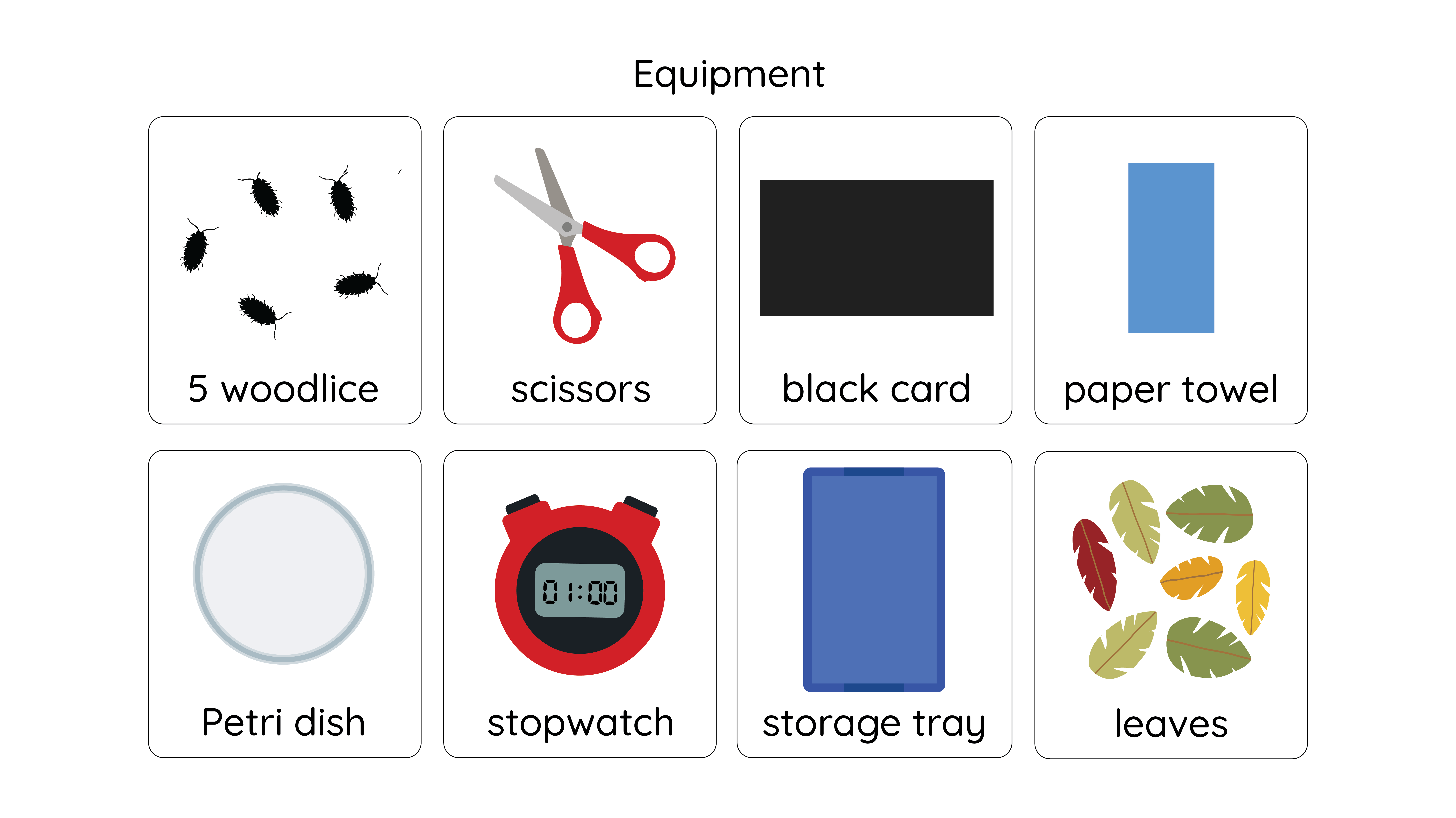 Science investigation equipment including woodlice, scissors, black card, paper towel, Petri dish and stopwatch.