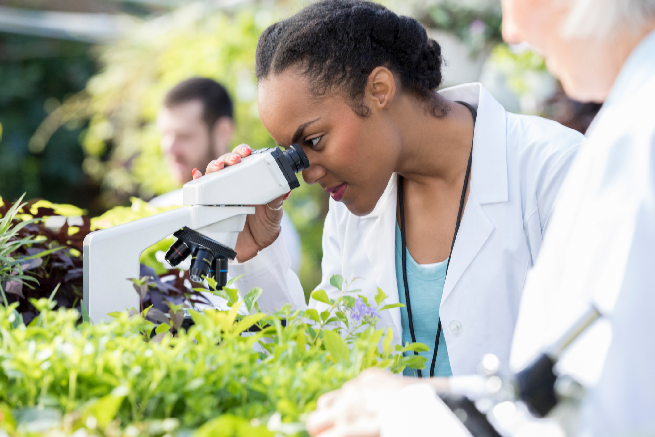 botanist science microscope