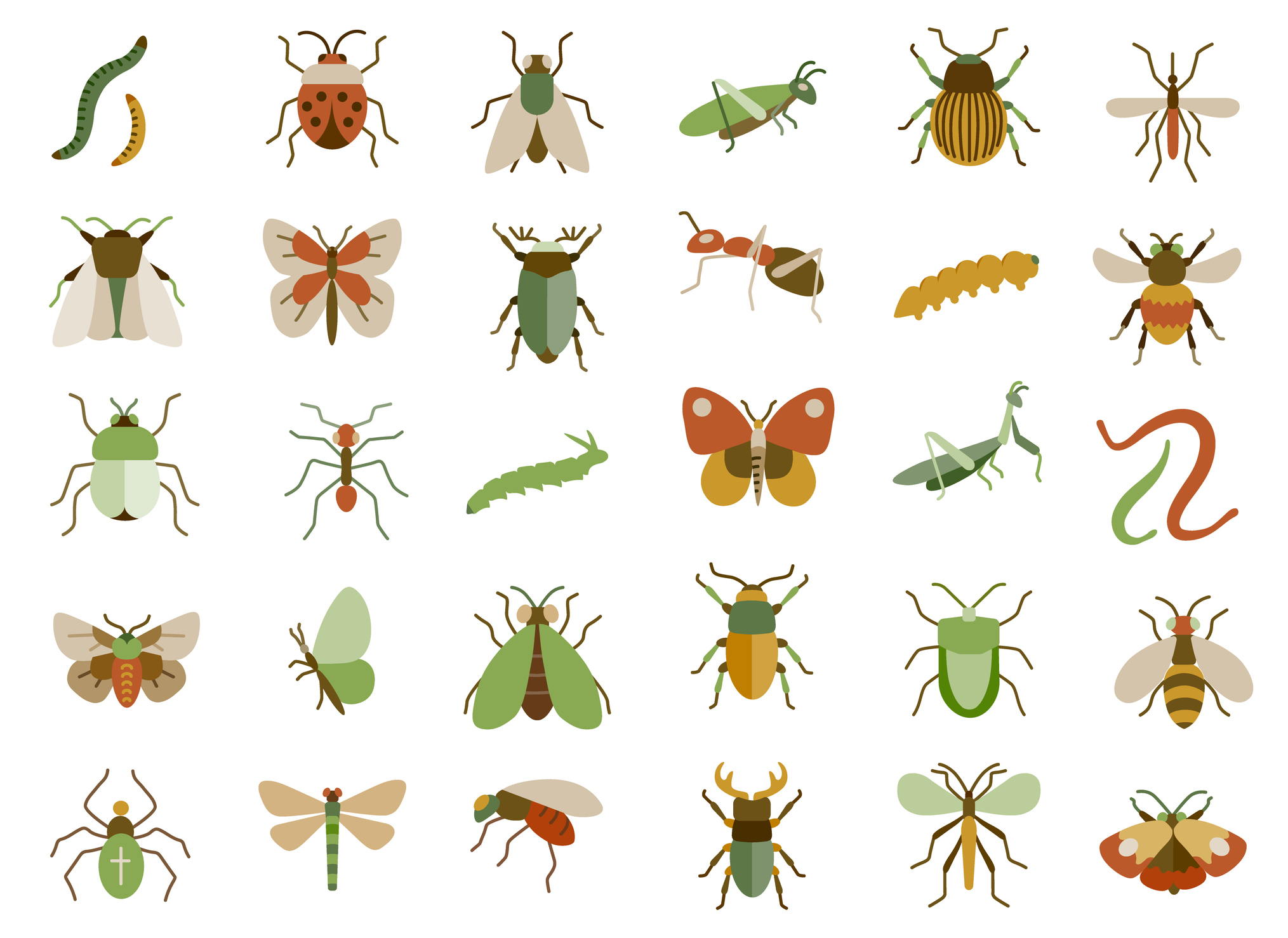 Lesson 1: Grouping living things: Vertebrates and invertebrates