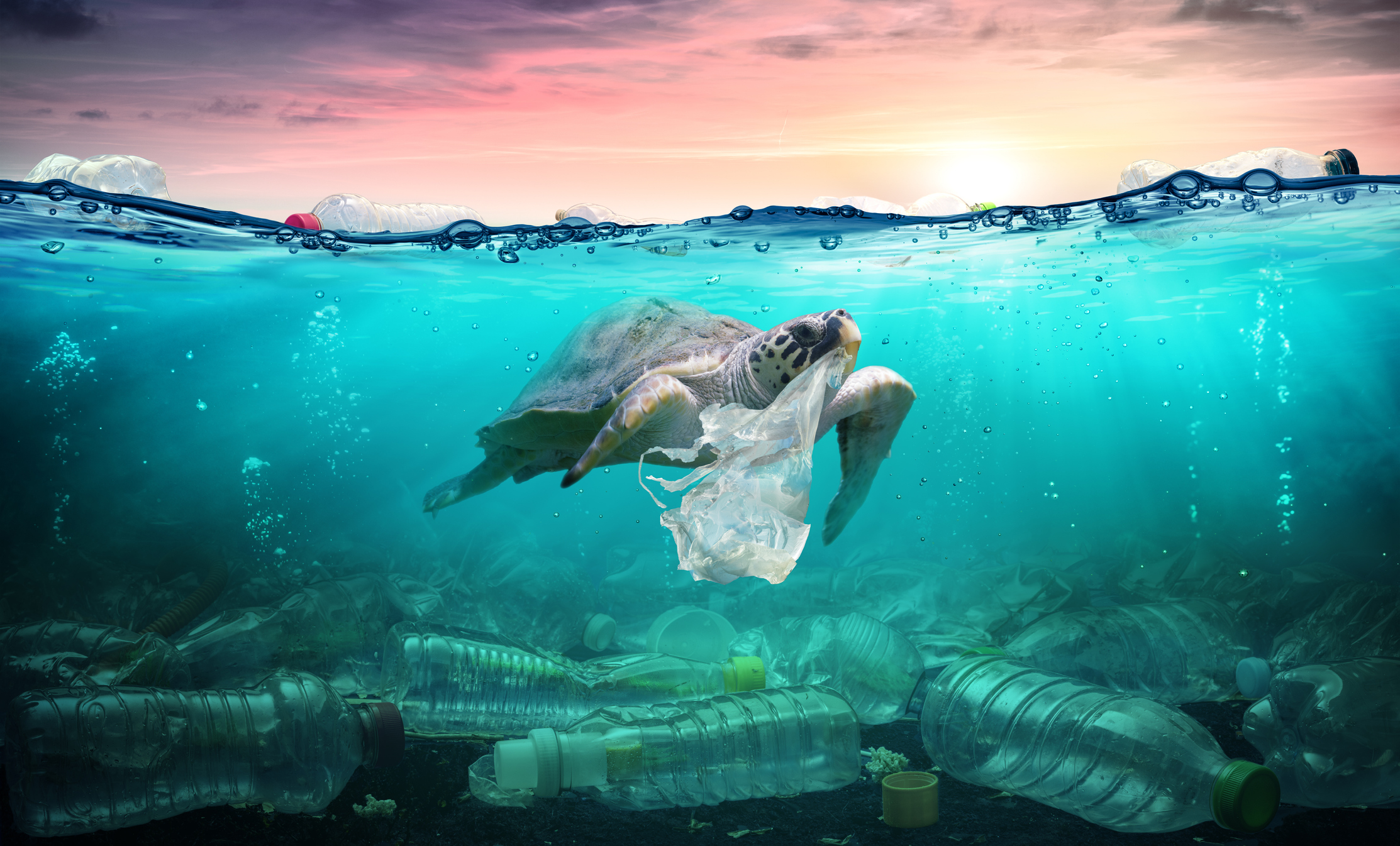 turtle biting a plastic bag in the ocean