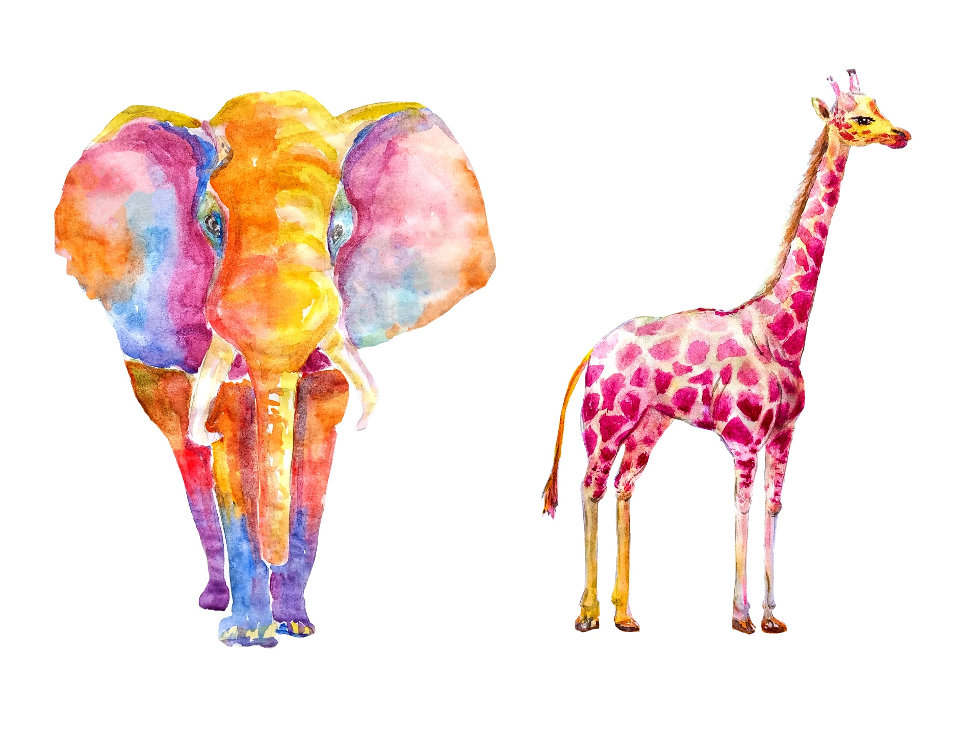 Y3/4 (B): Lesson 4: Animal portraits