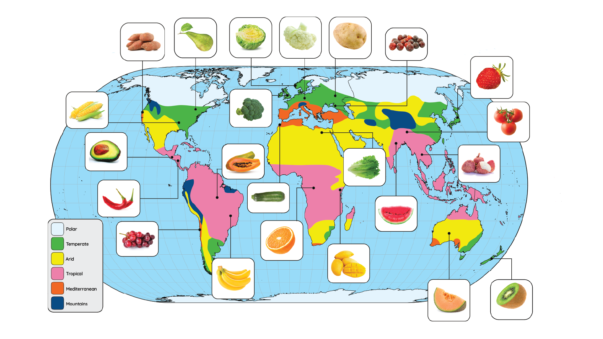 A world map showing climate zones and foods that grow in those zones.