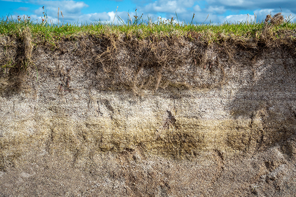 A close-up view of soil layers showing distinct strata, with grass growing on top.