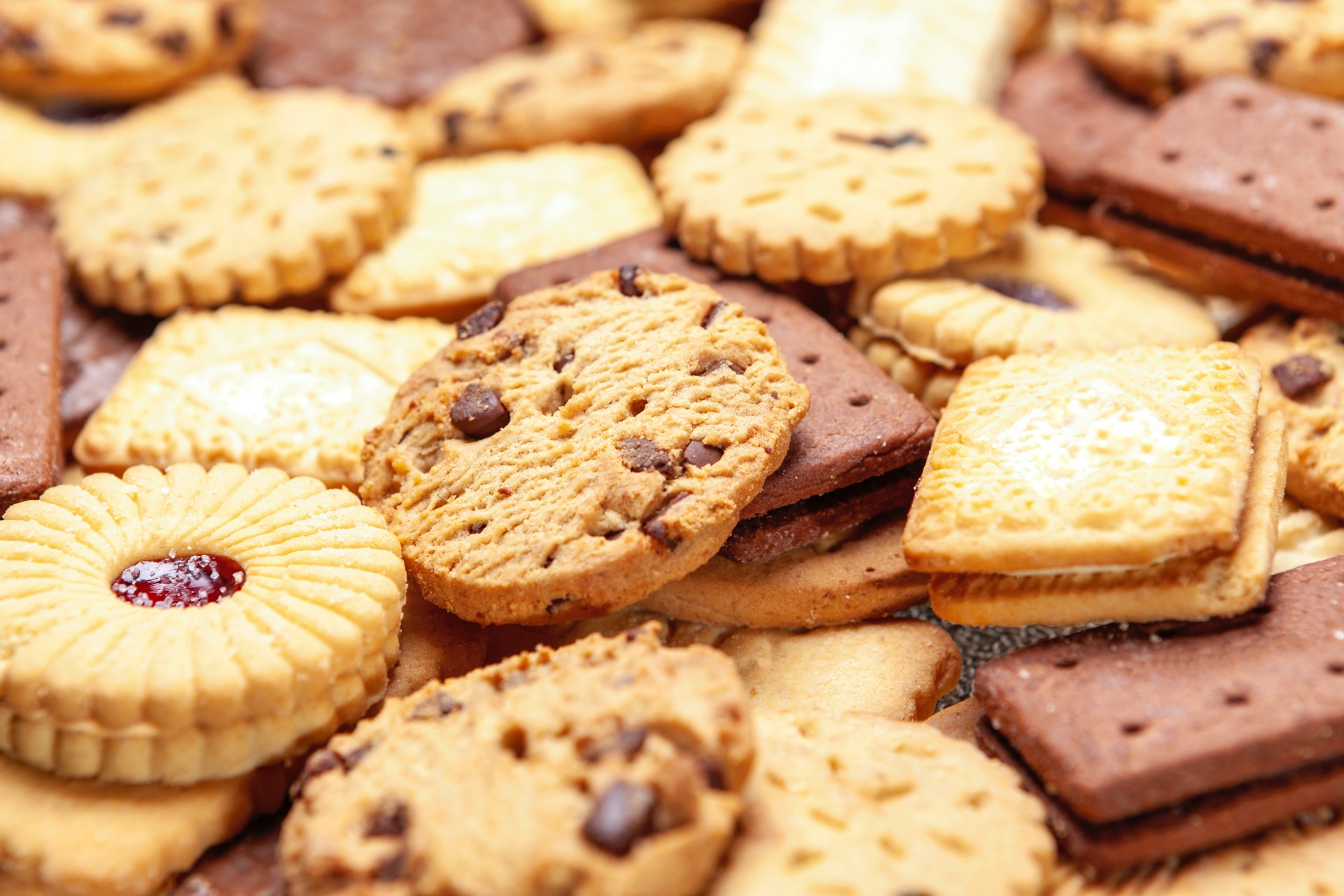 Lesson 1: Existing biscuits