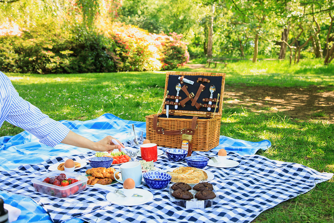 A picnic spread with various foods, drinks, and a wicker basket on a blue checkered blanket in a park.