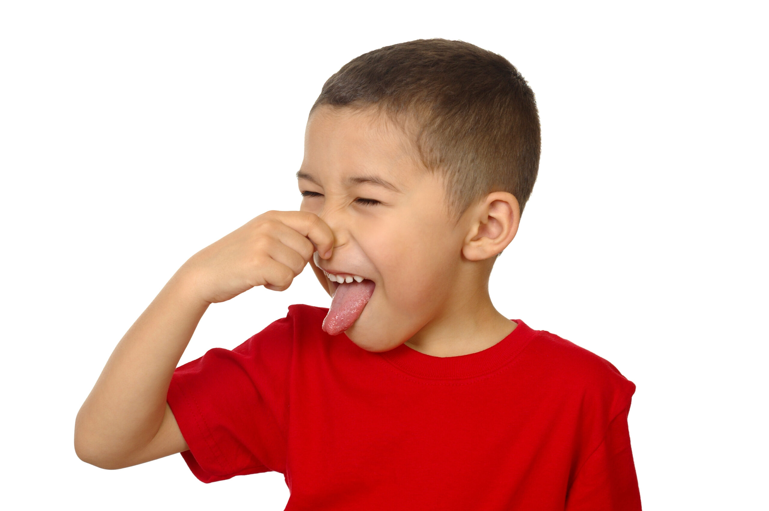 Y1/2 (B): Lesson 4: Sight and smell