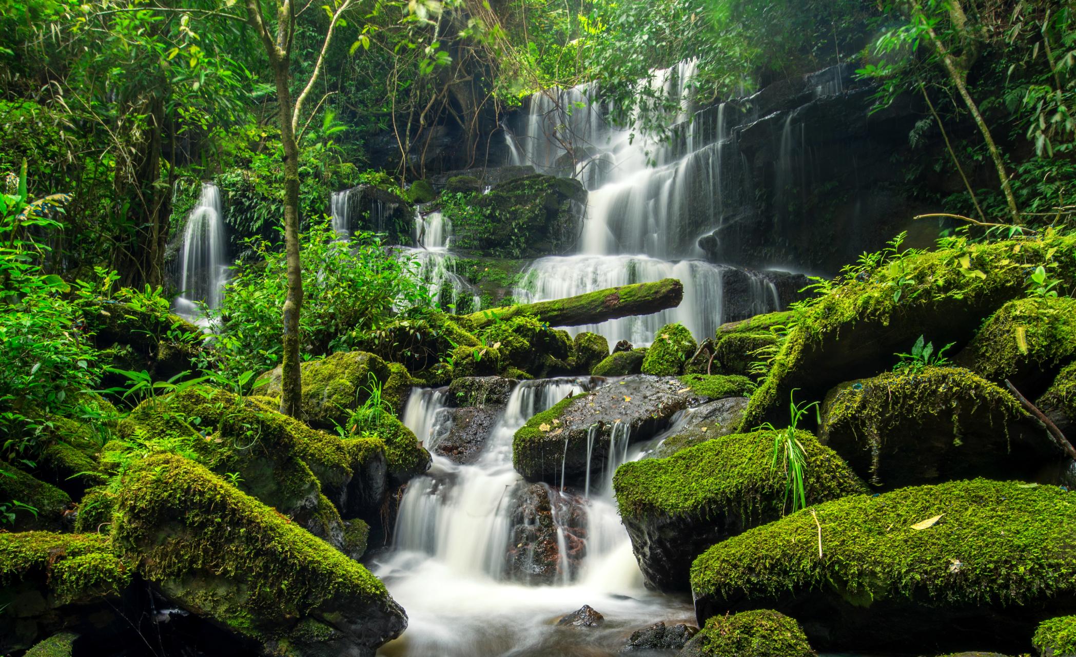 Lush green rainforest with cascading waterfall over mossy rocks