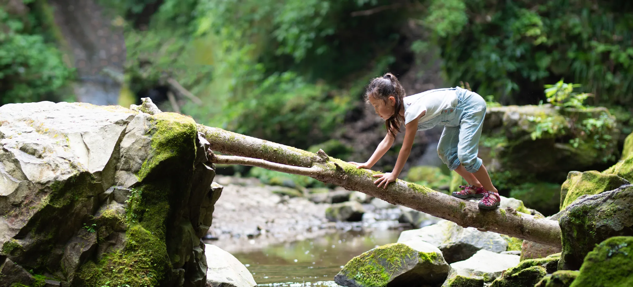 Girl climbing over a log across two rocks above a river