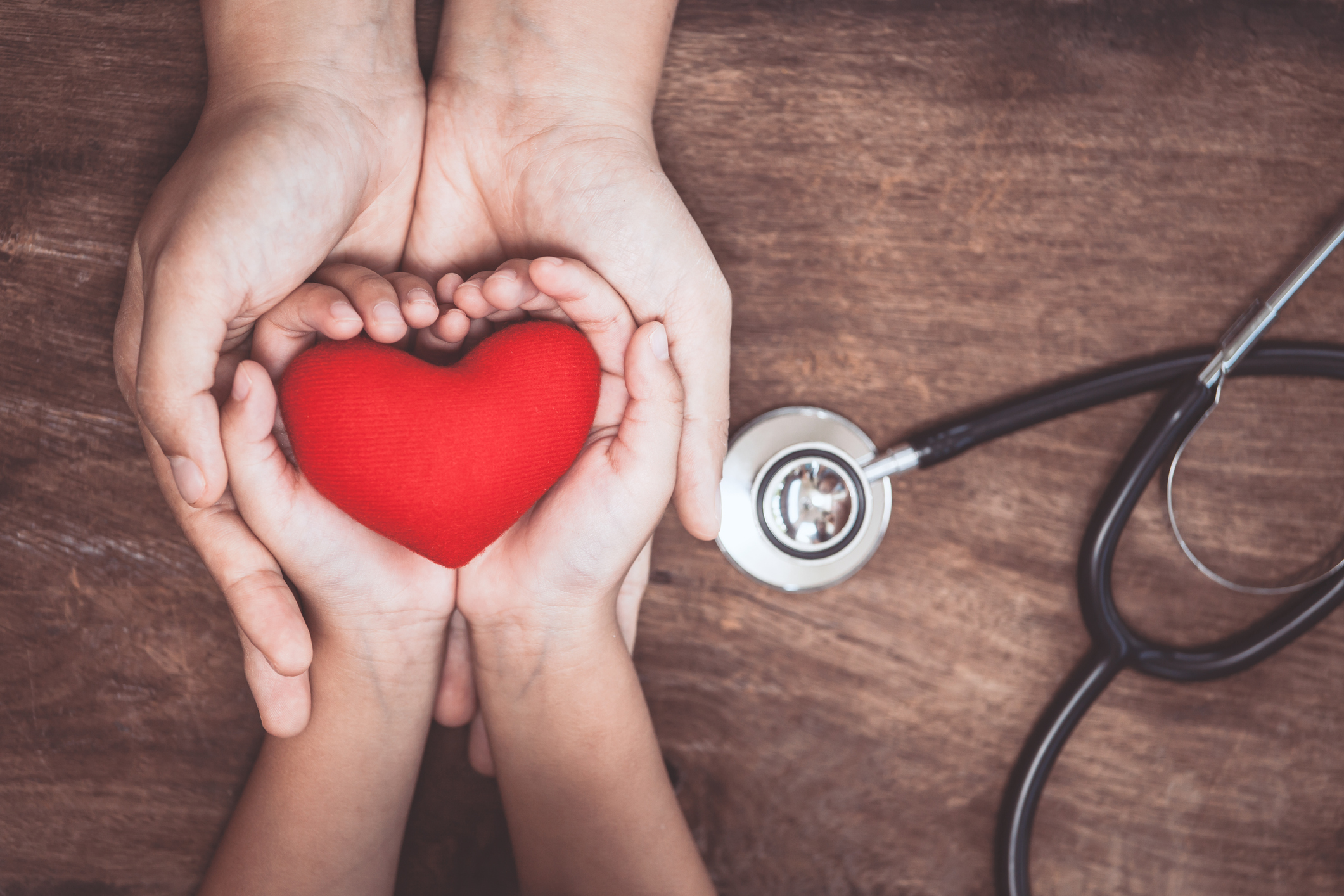Animals, including humans: Circulation and health