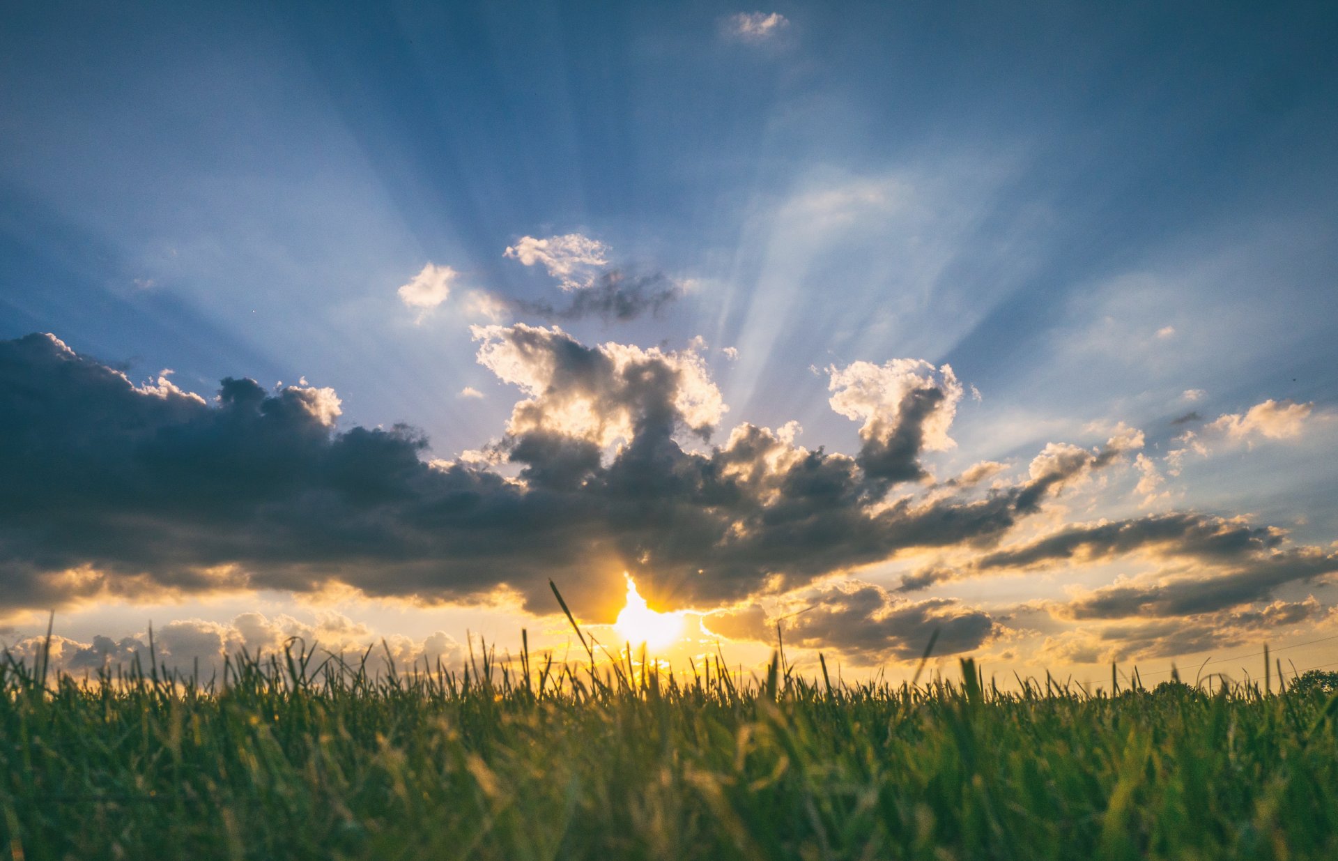 Music in nature: Chords and melodies